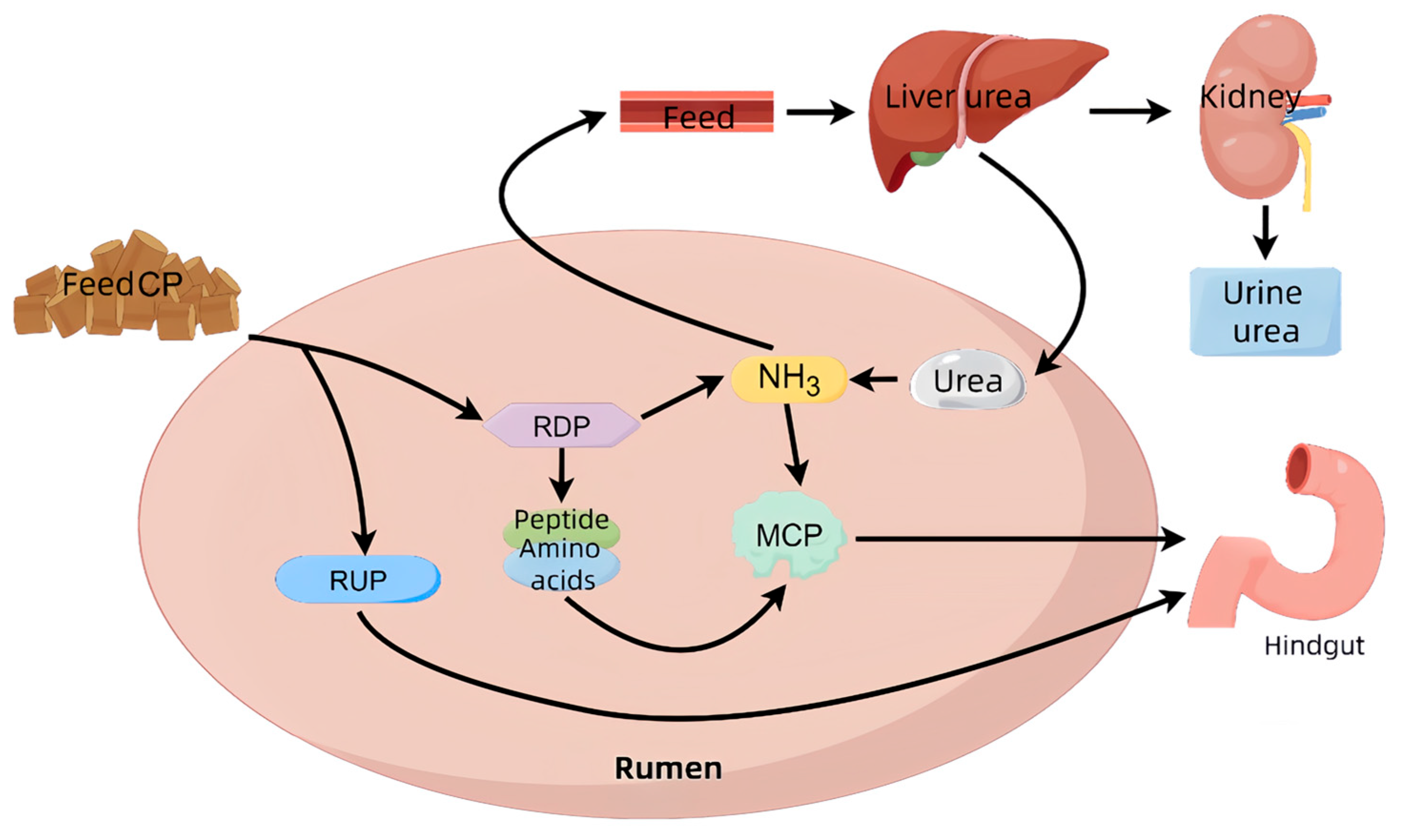 Agriculture 15 02234 g002 Agriculture 15 02234 g002