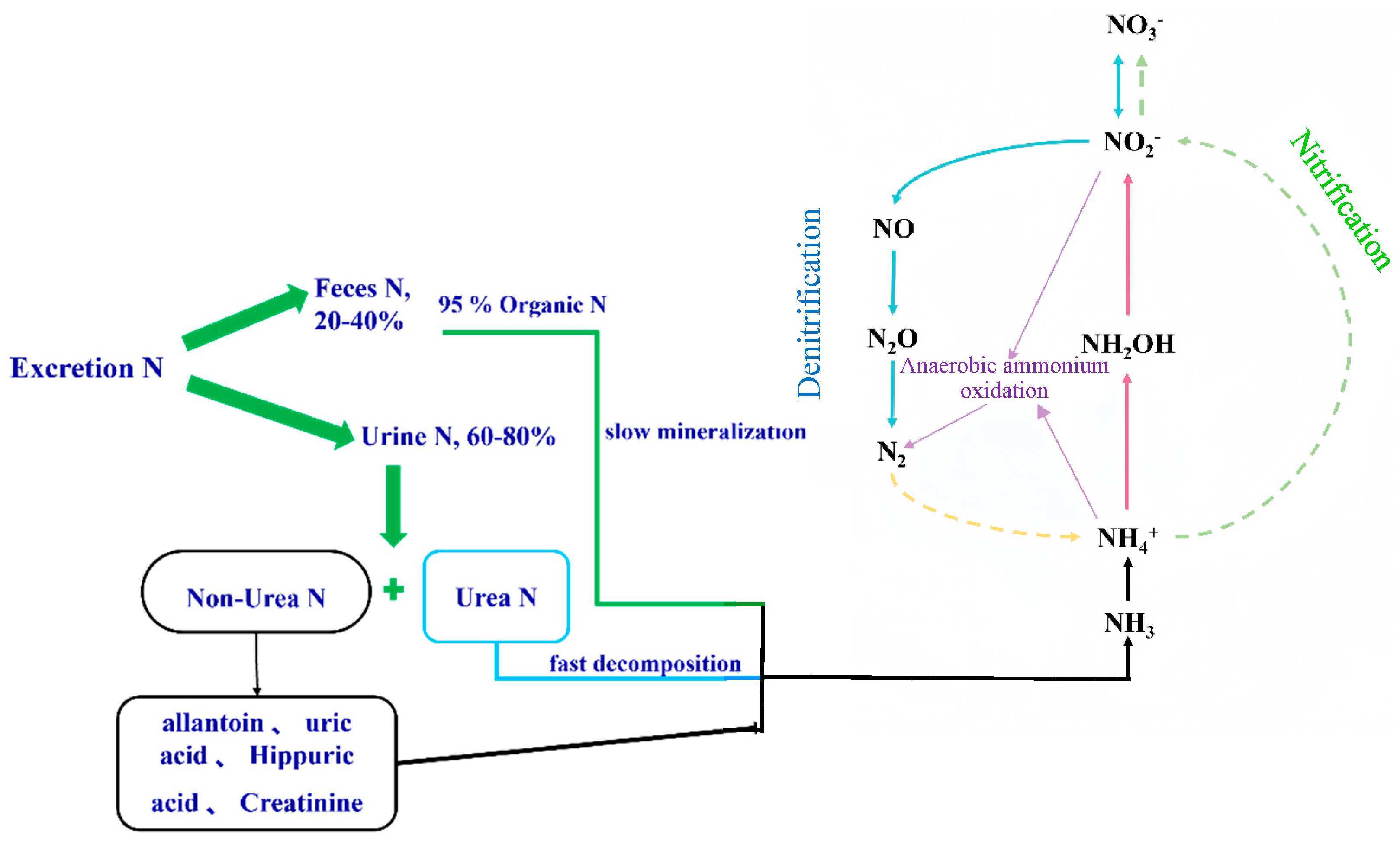 Agriculture 15 02234 g003 Agriculture 15 02234 g003