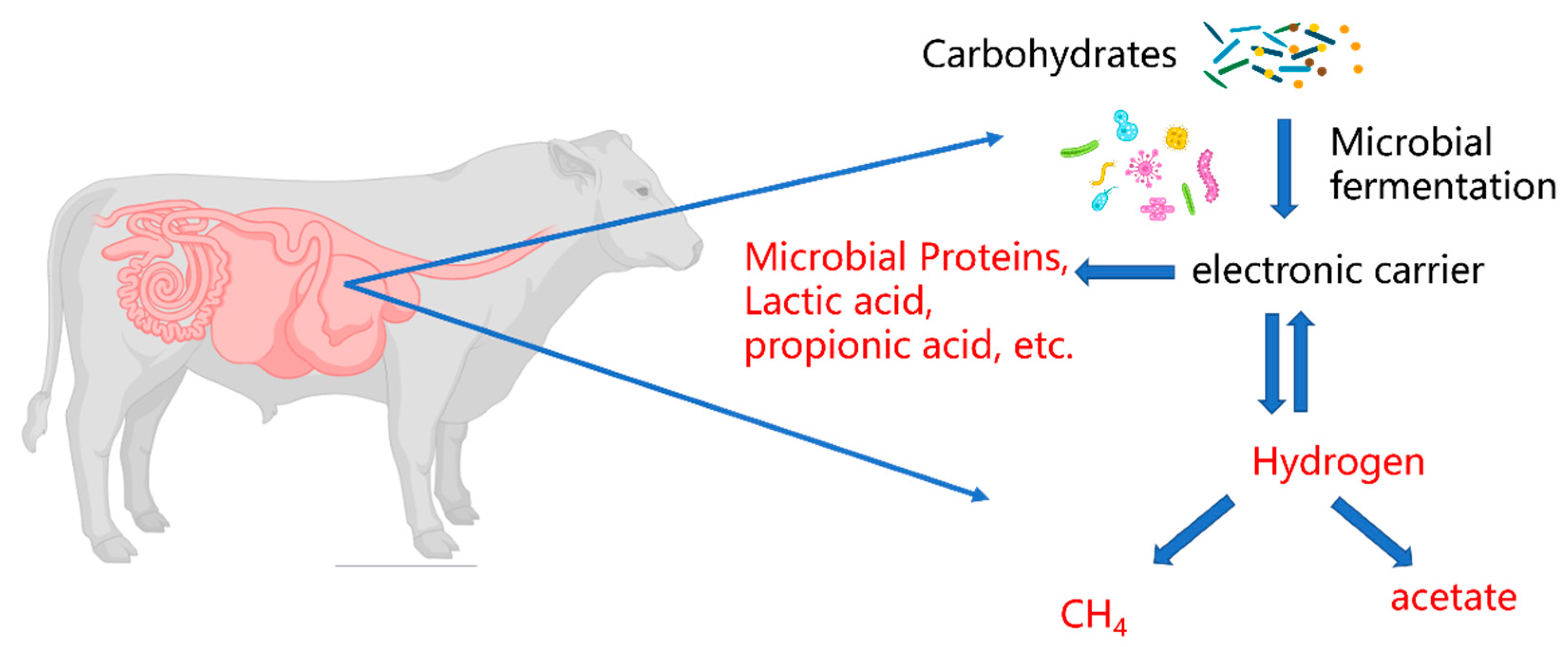 Agriculture 15 02234 g004 Agriculture 15 02234 g004