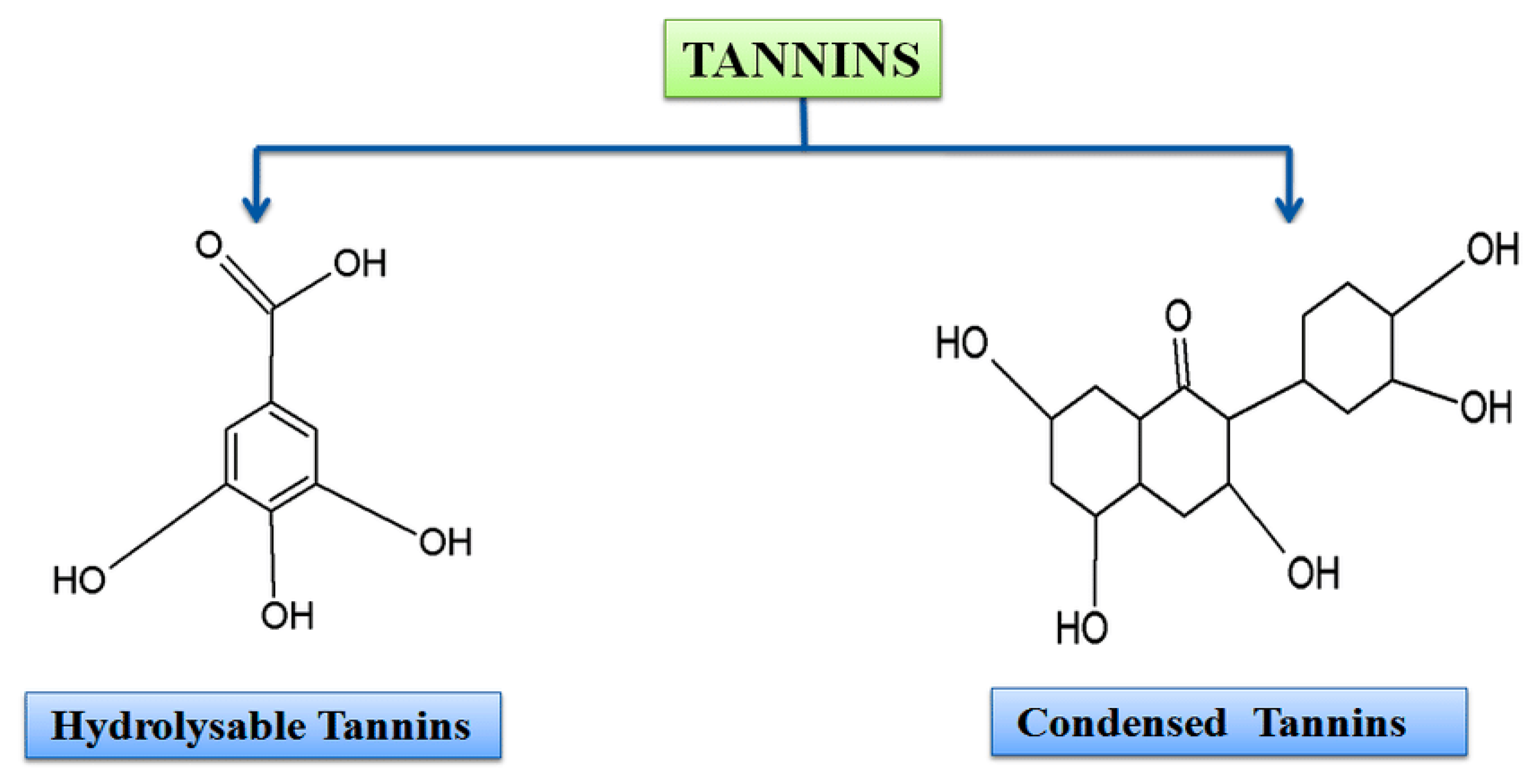 Agriculture 15 02234 g005 Agriculture 15 02234 g005