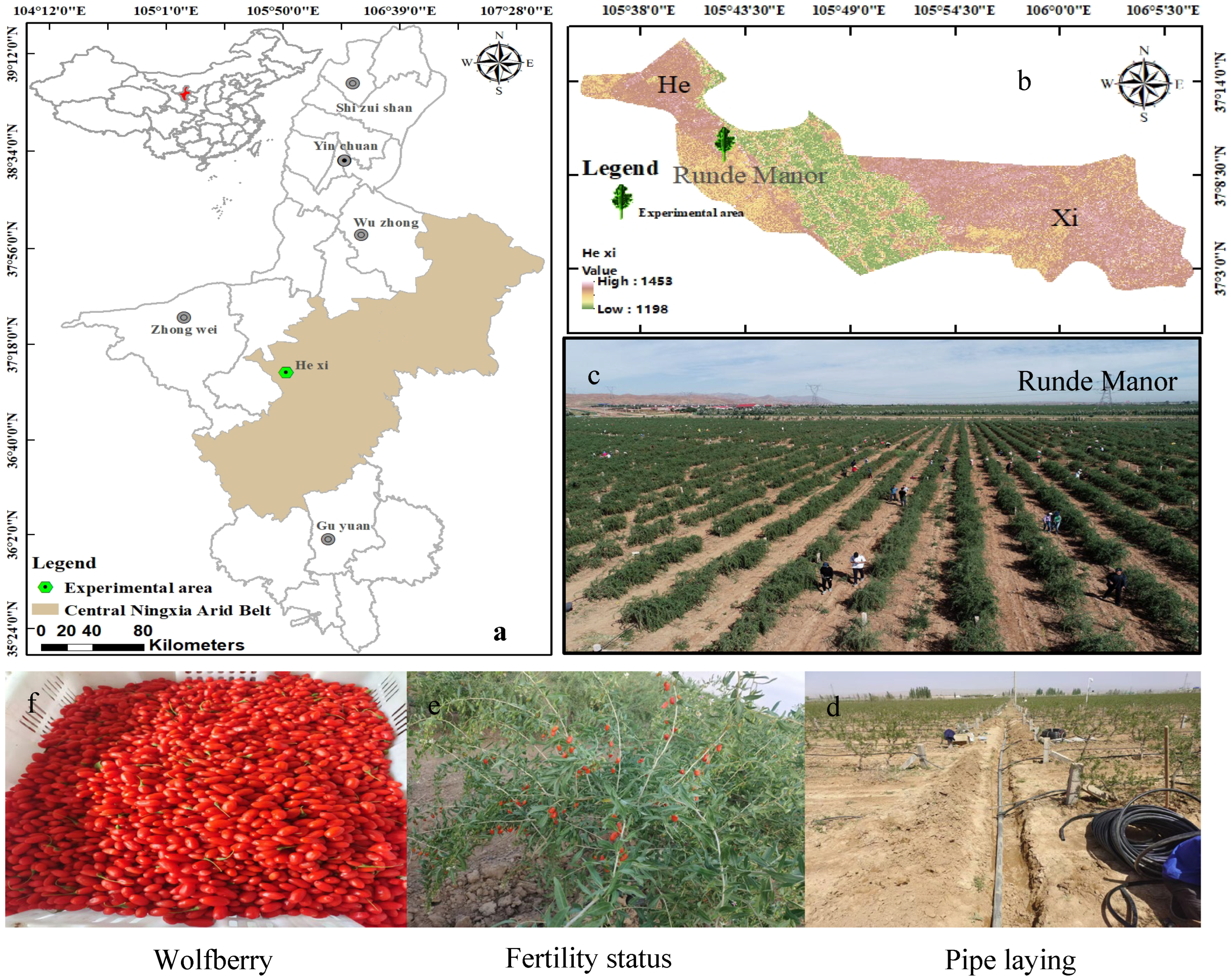 Agriculture 15 02237 g001 Agriculture 15 02237 g001