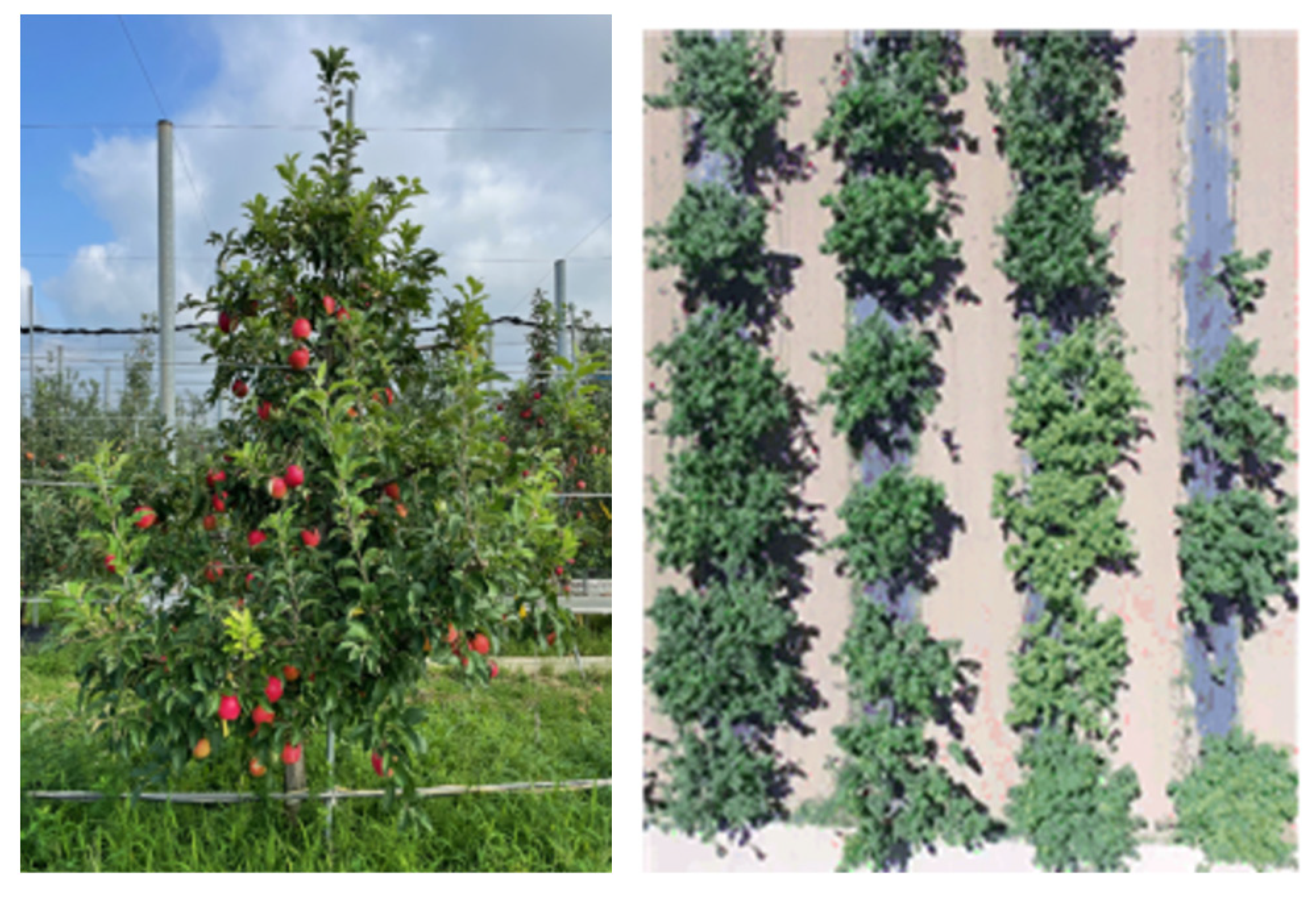 Agriculture 15 02239 g001 Agriculture 15 02239 g001