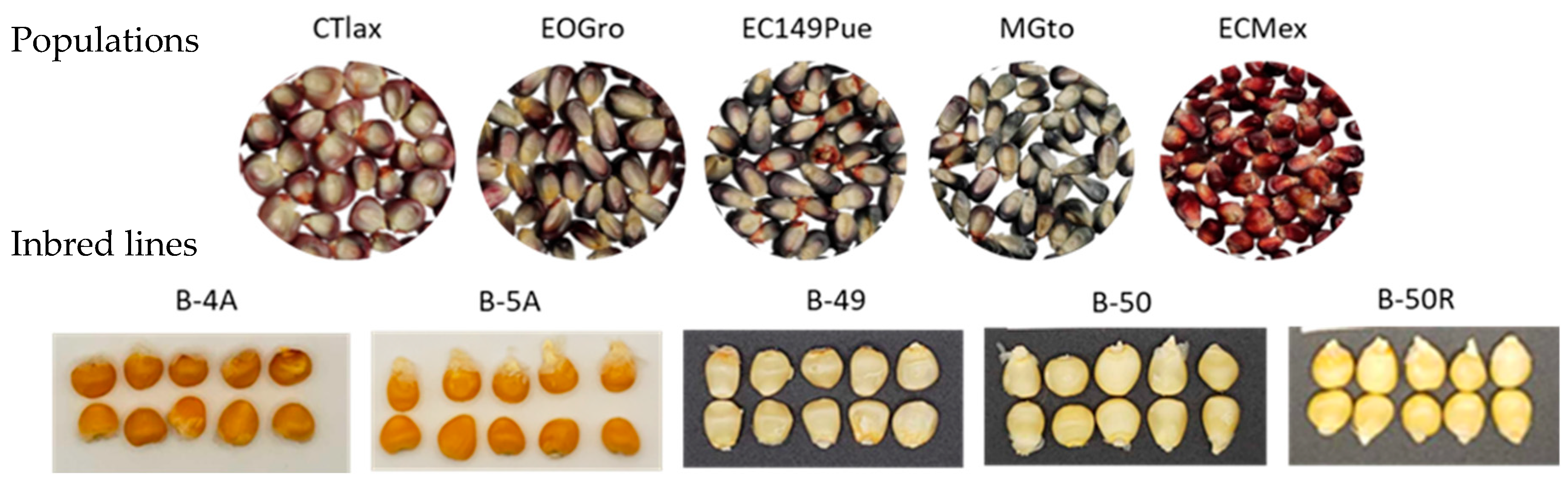 Agriculture 15 02240 g001