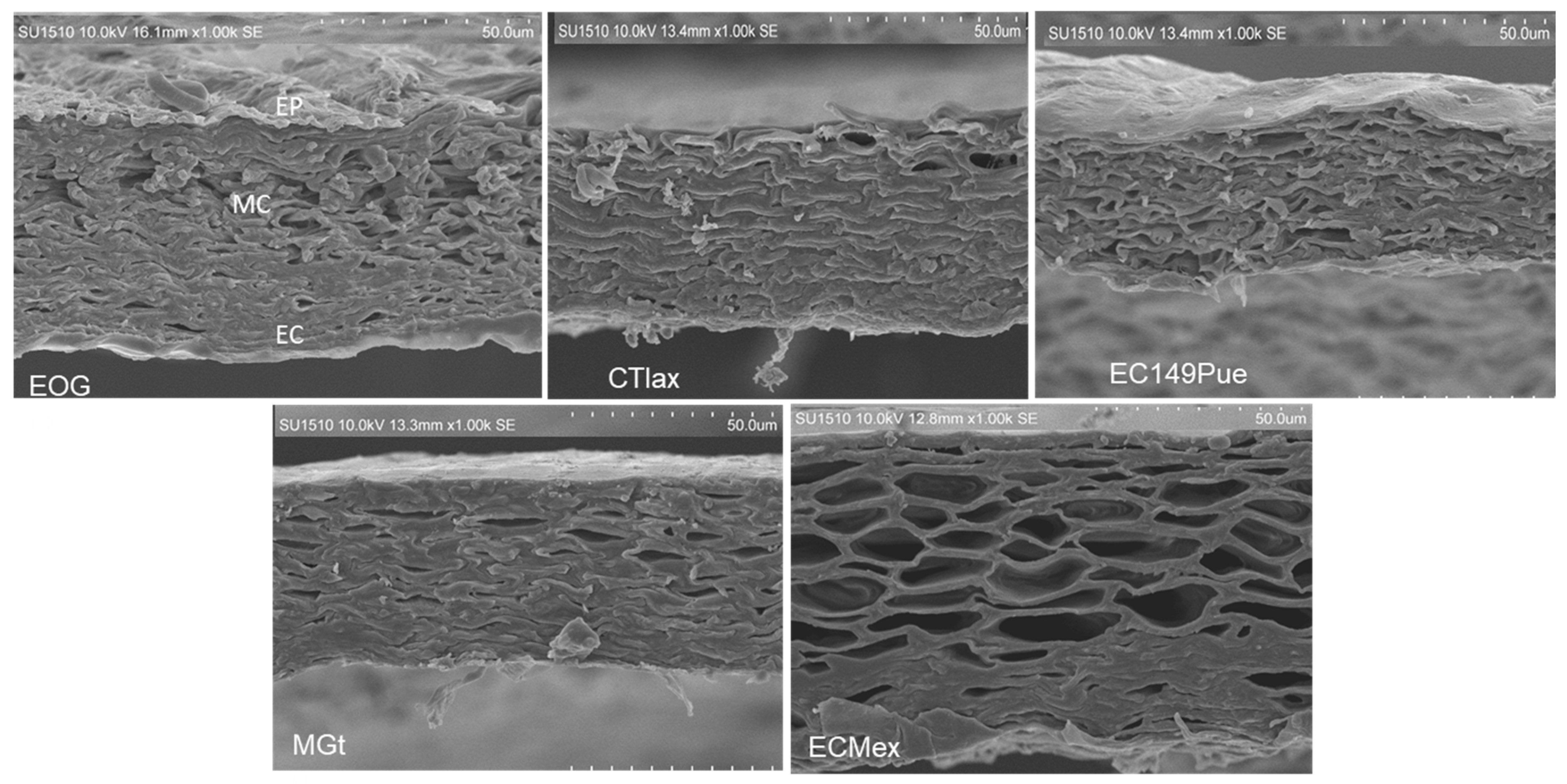 Agriculture 15 02240 g003