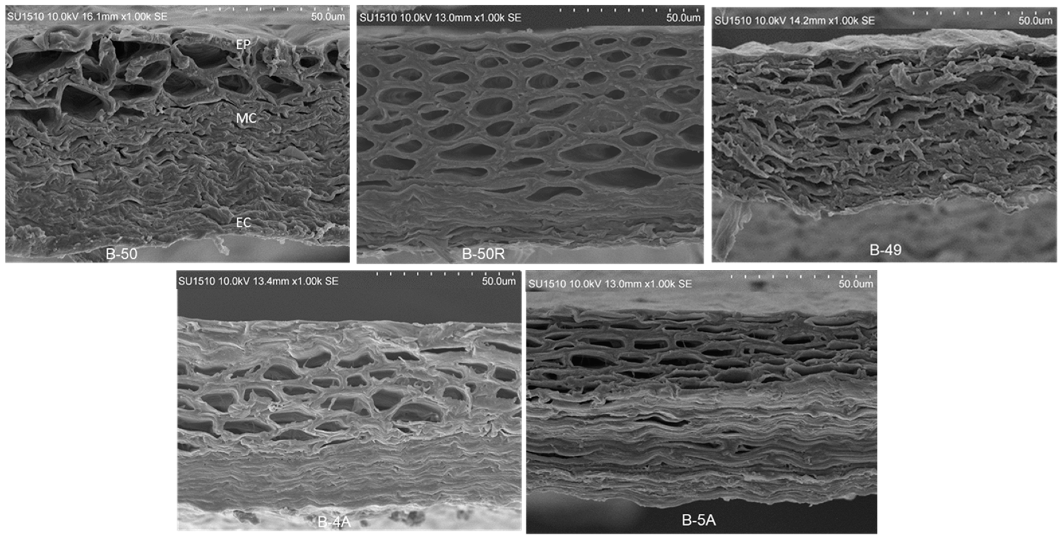 Agriculture 15 02240 g004