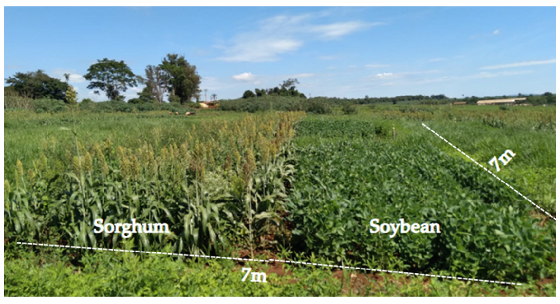 Agriculture 15 02245 g003 Agriculture 15 02245 g003