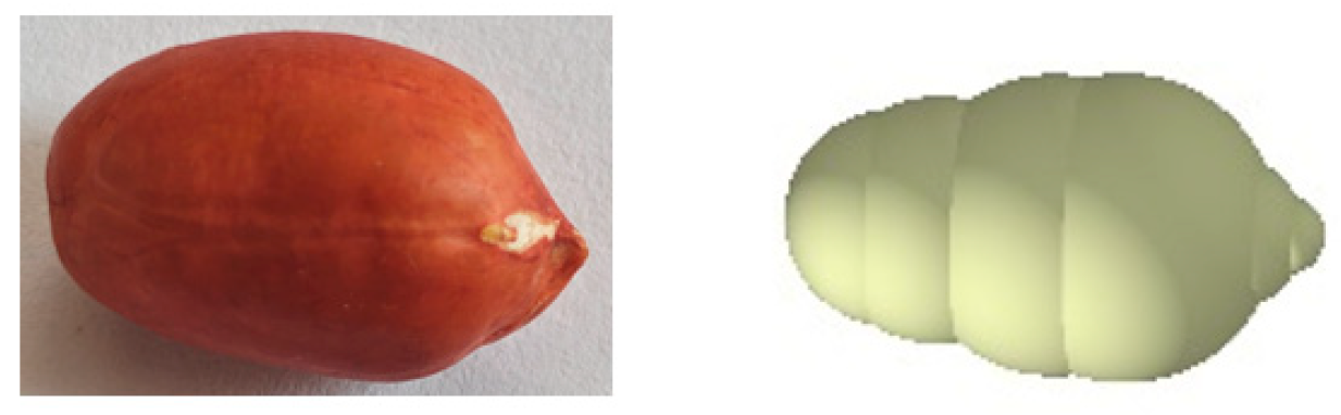 Agriculture 15 02246 g007 Agriculture 15 02246 g007