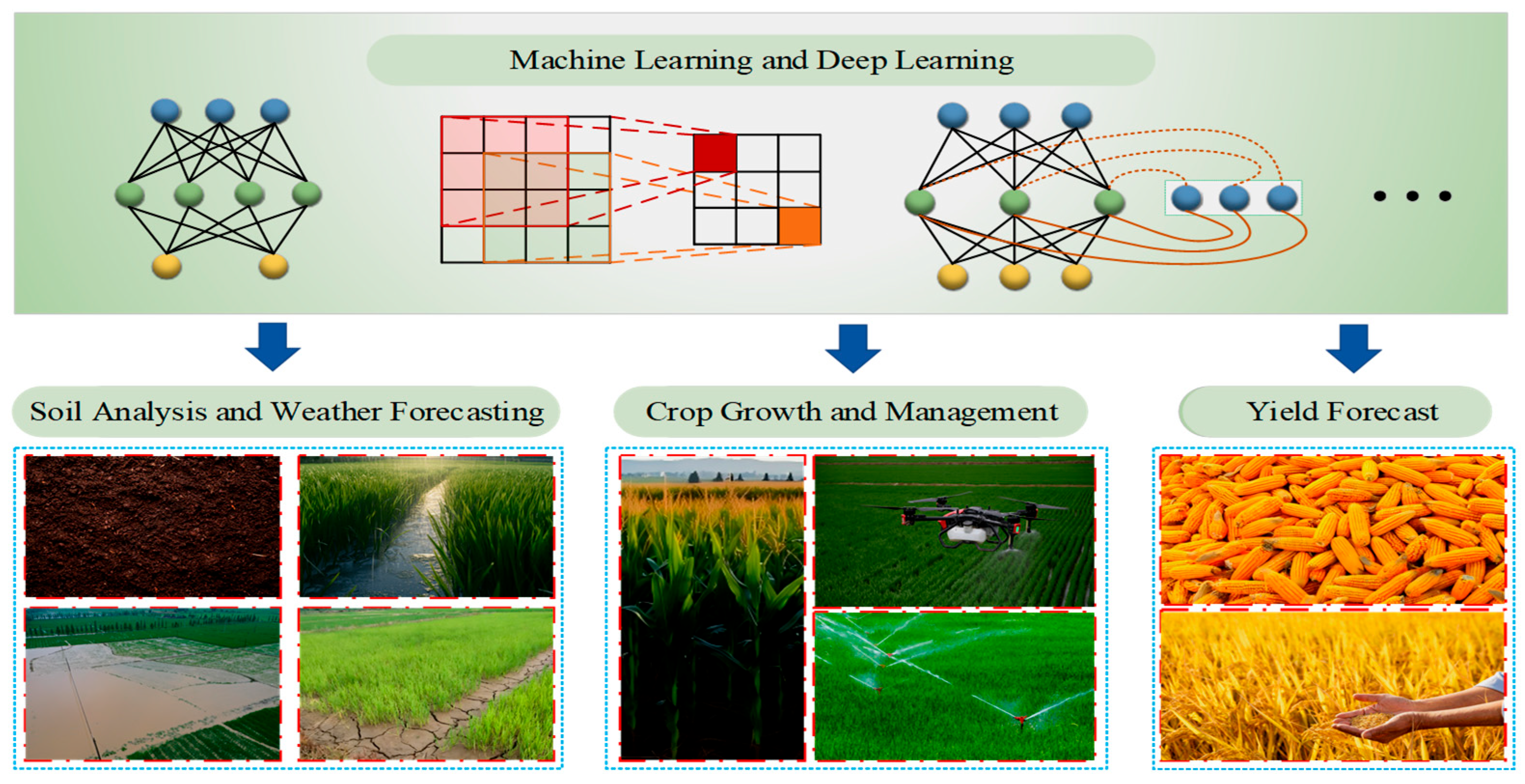 Agriculture 15 02247 g004 Agriculture 15 02247 g004