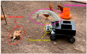 Agriculture 15 02249 i002 Agriculture 15 02249 i002