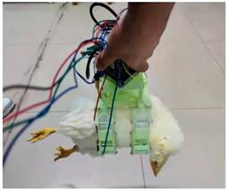 Agriculture 15 02249 i004 Agriculture 15 02249 i004