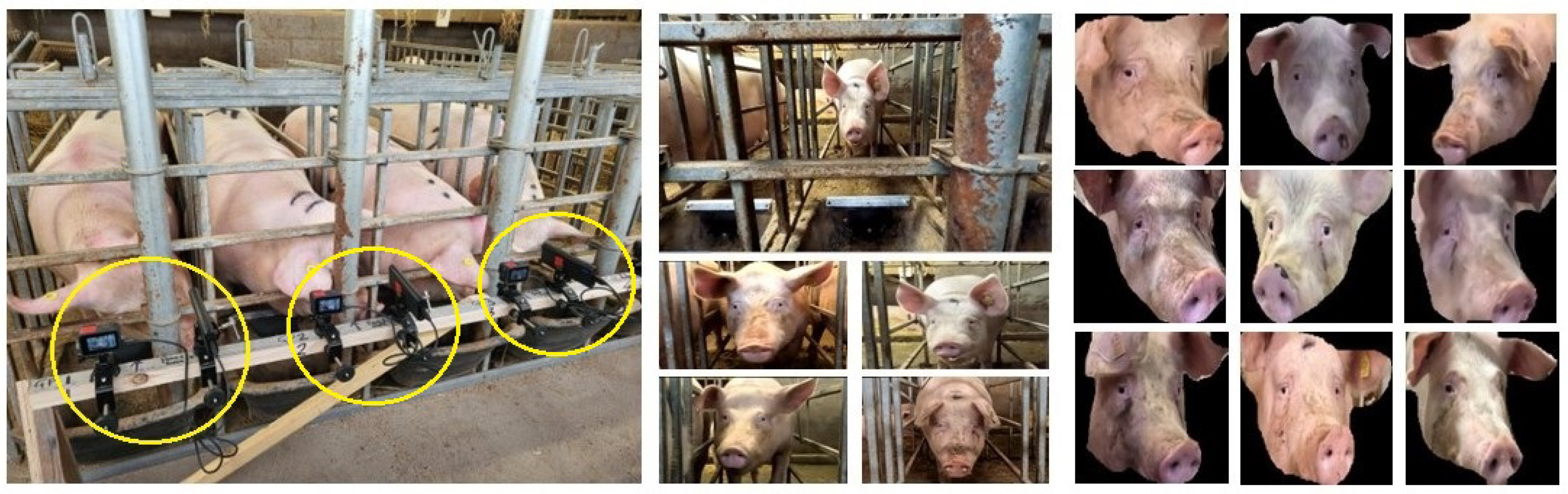 Agriculture 15 02253 g001