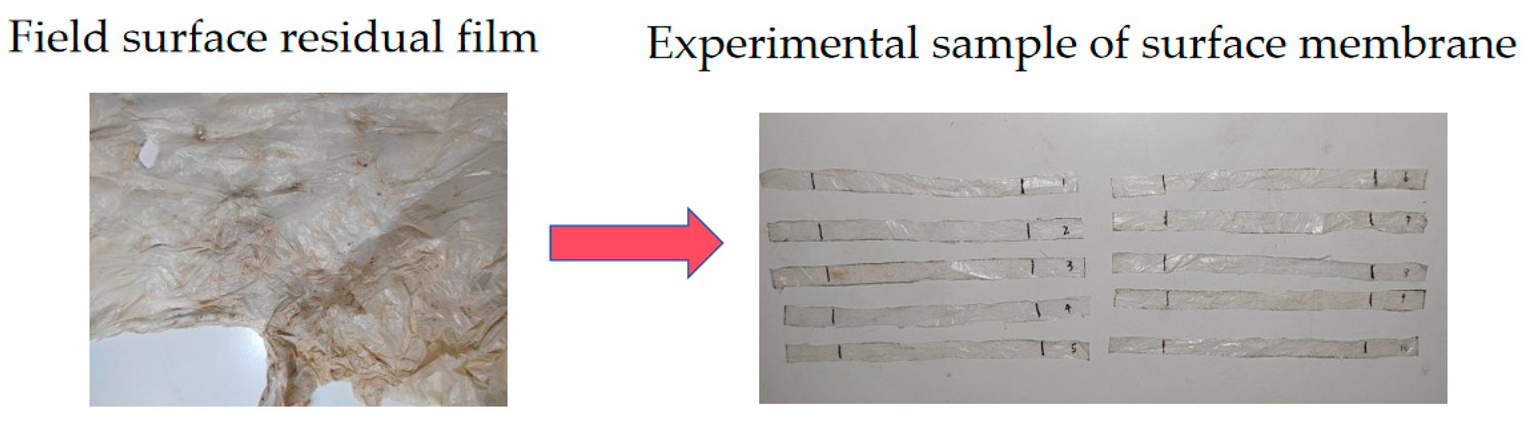 Agriculture 15 02260 g005