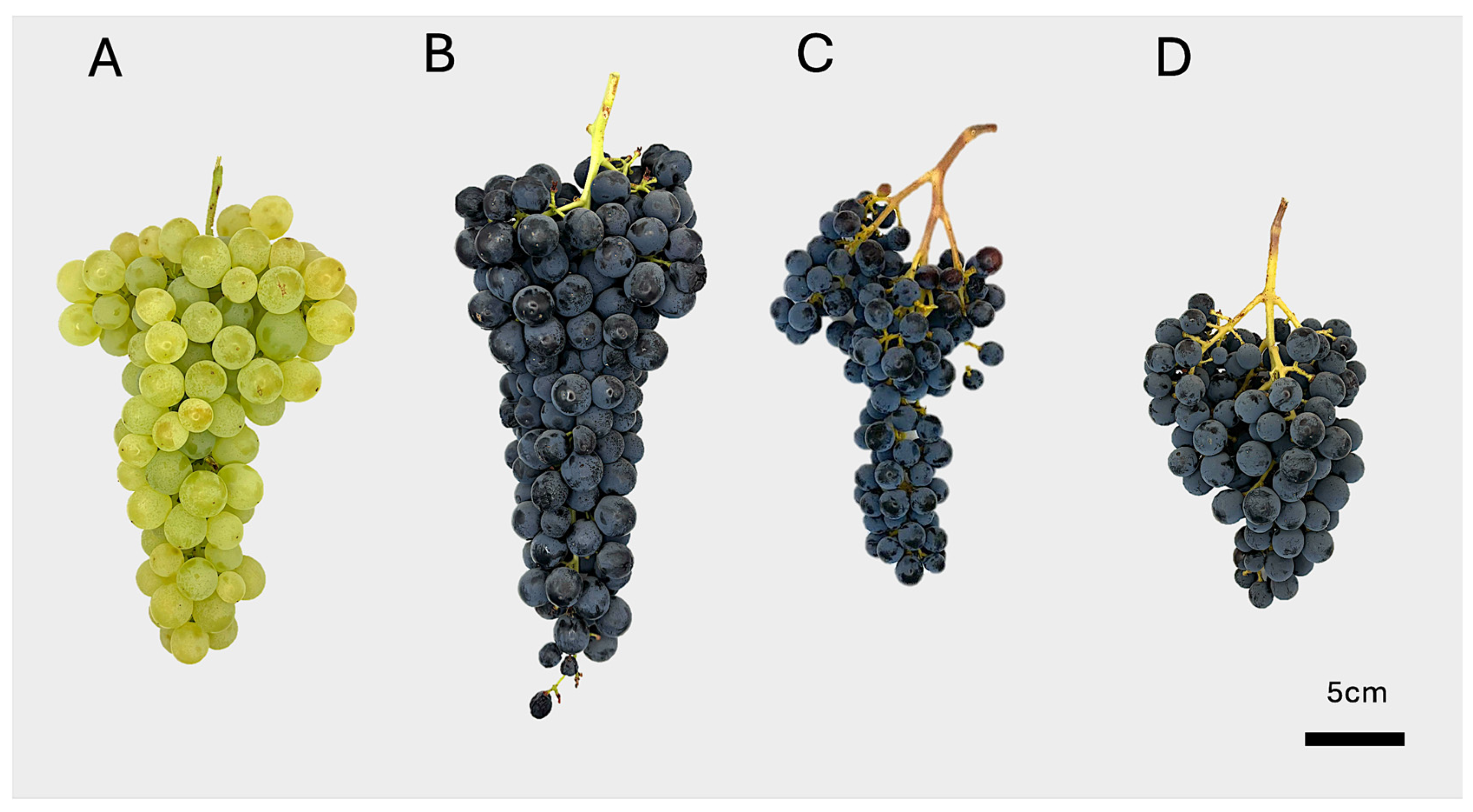 Agriculture 15 02267 g002 Agriculture 15 02267 g002