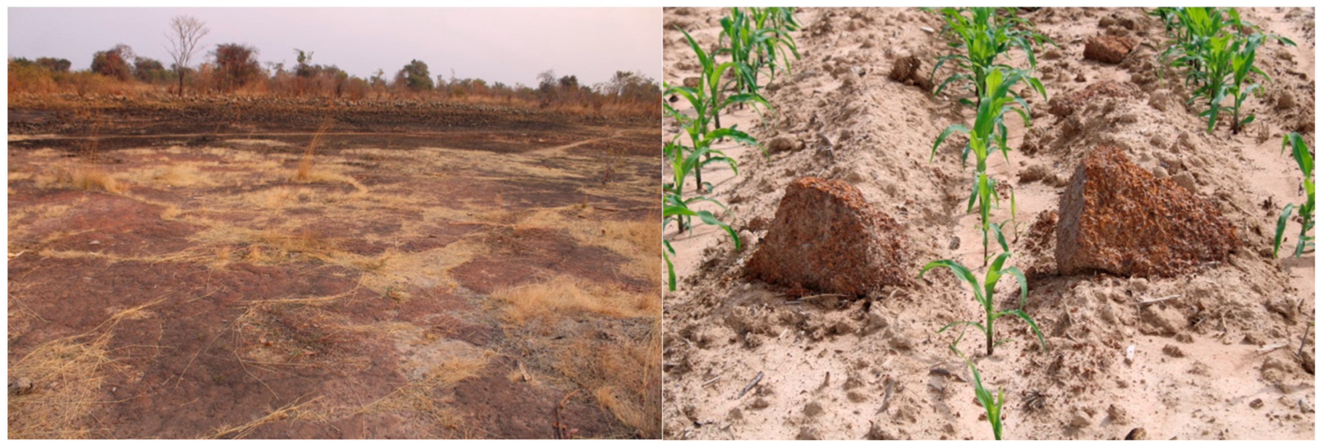 Agriculture 15 02272 g001 Agriculture 15 02272 g001