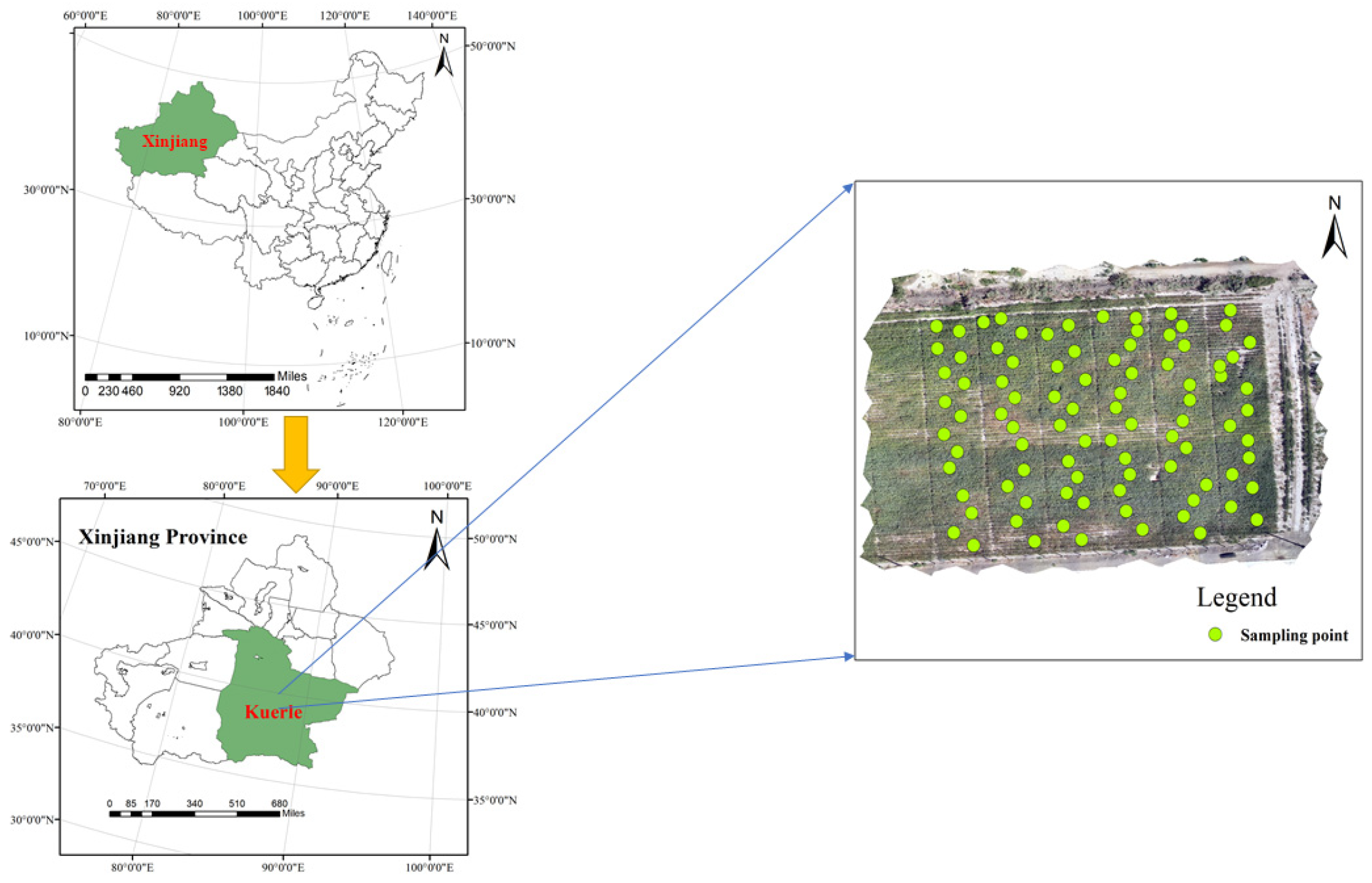 Agriculture 15 02277 g001 Agriculture 15 02277 g001