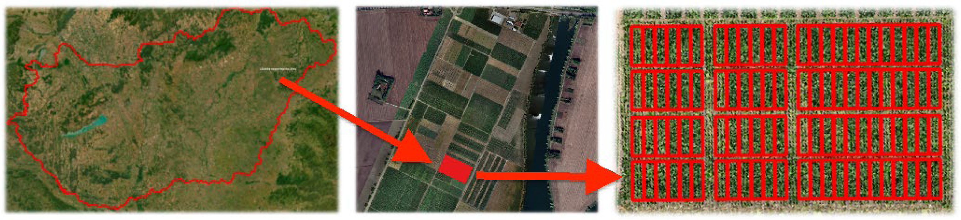 Agriculture 15 02279 g001