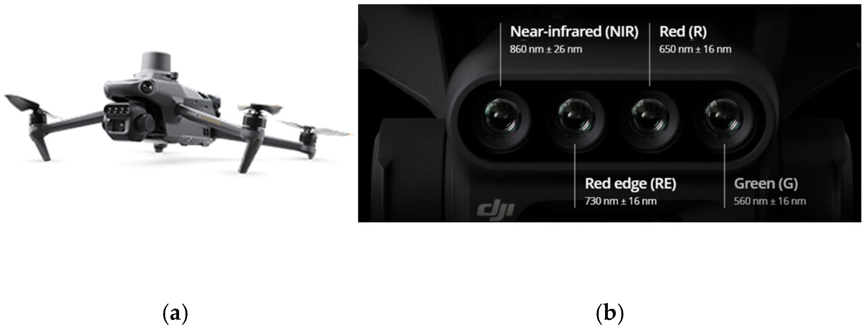 Agriculture 15 02279 g004