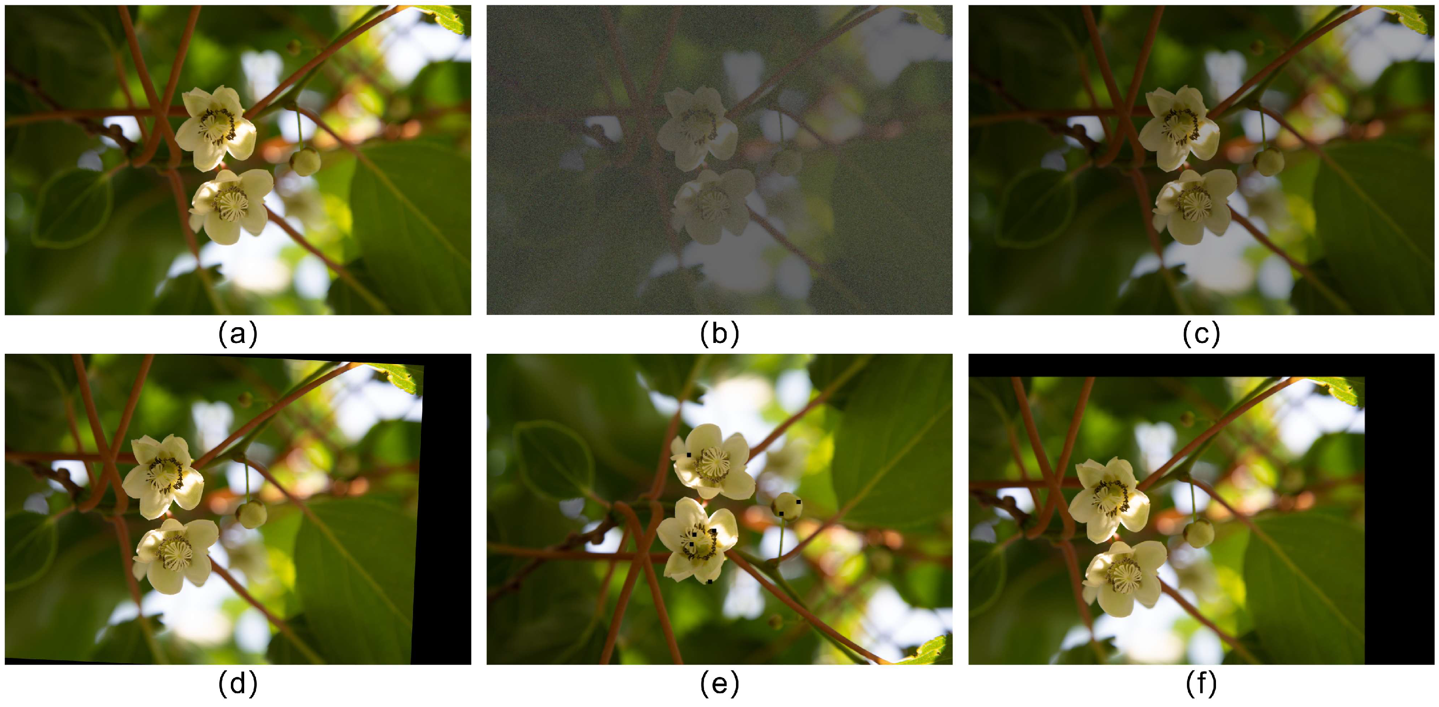 Agriculture 15 02290 g004