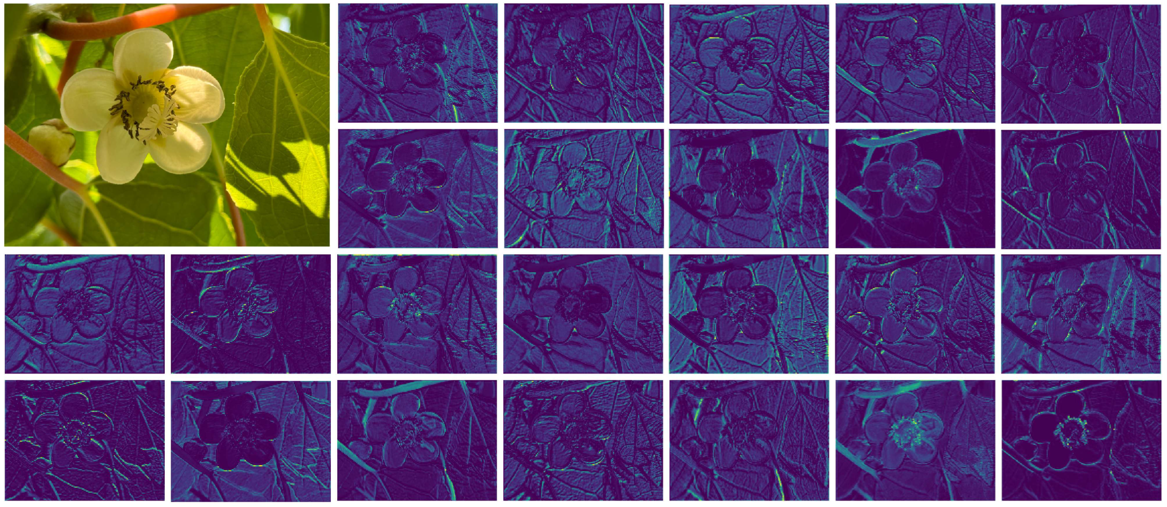 Agriculture 15 02290 g009