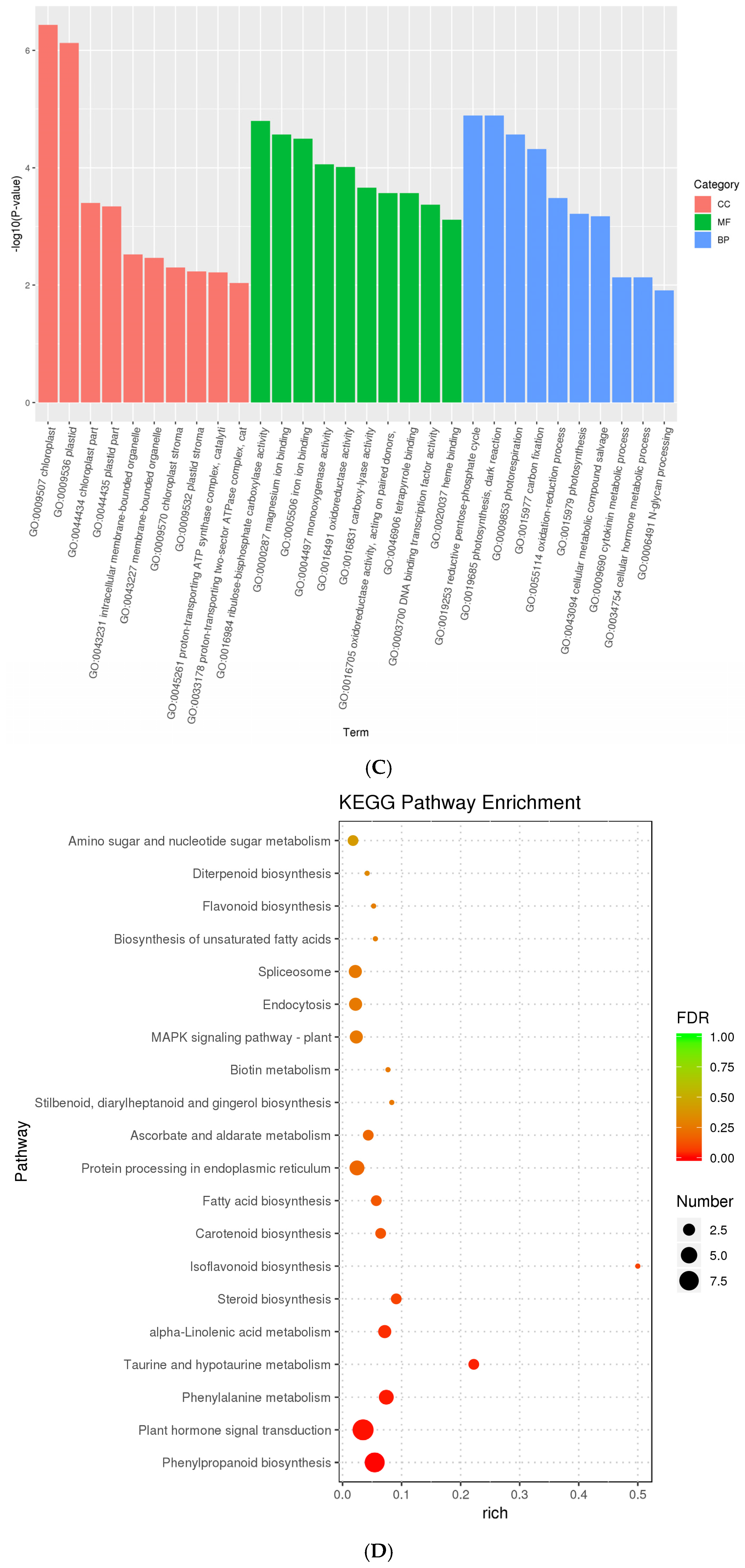 Agriculture 15 02291 g005b Agriculture 15 02291 g005b