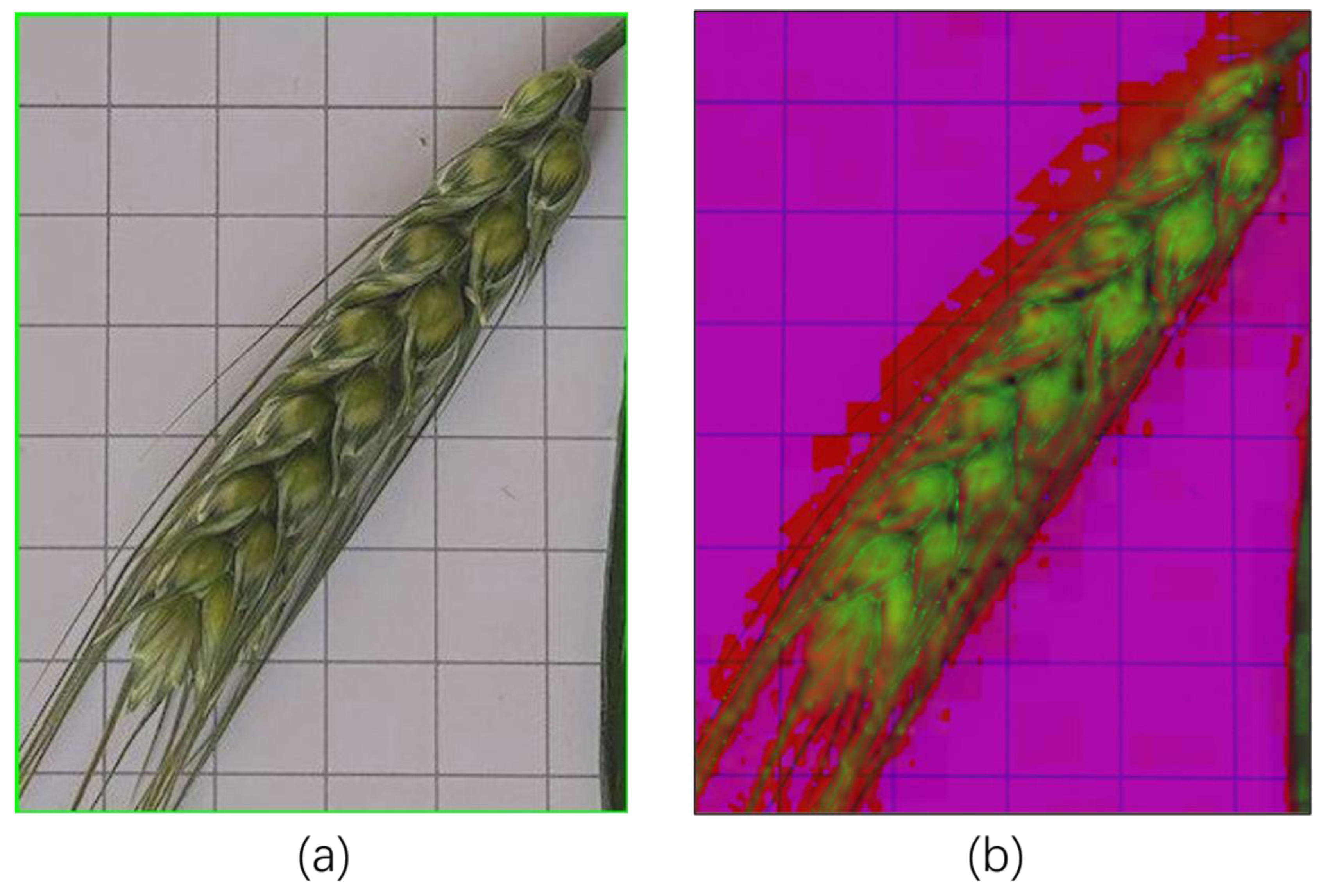 Agriculture 15 02295 g013 Agriculture 15 02295 g013