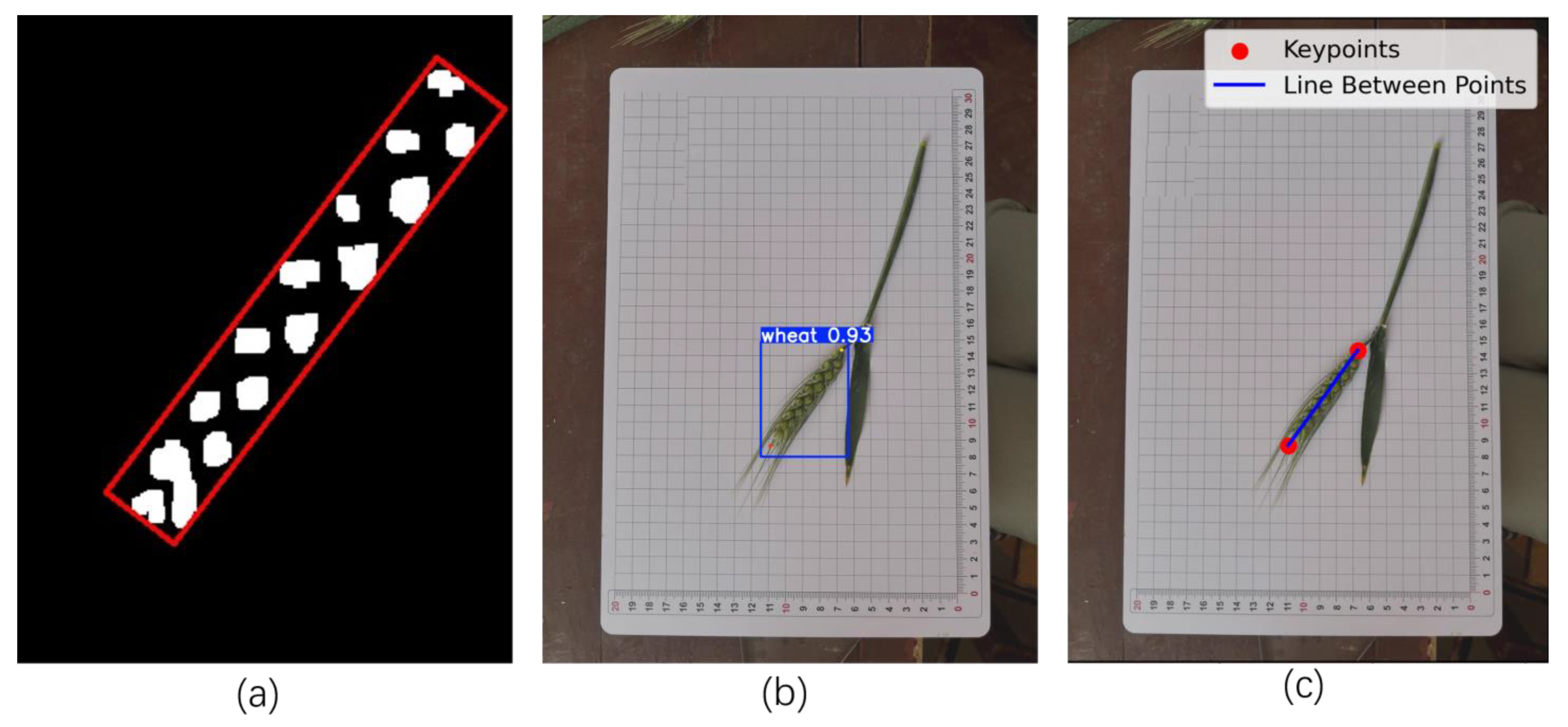 Agriculture 15 02295 g015 Agriculture 15 02295 g015