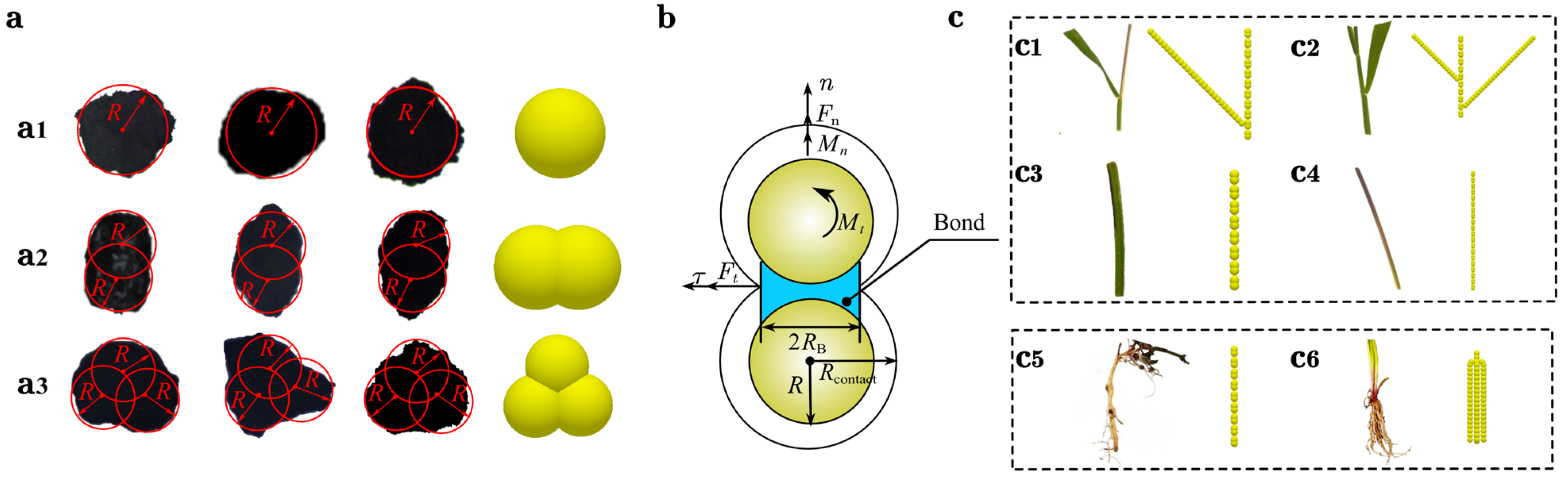Agriculture 15 02299 g002