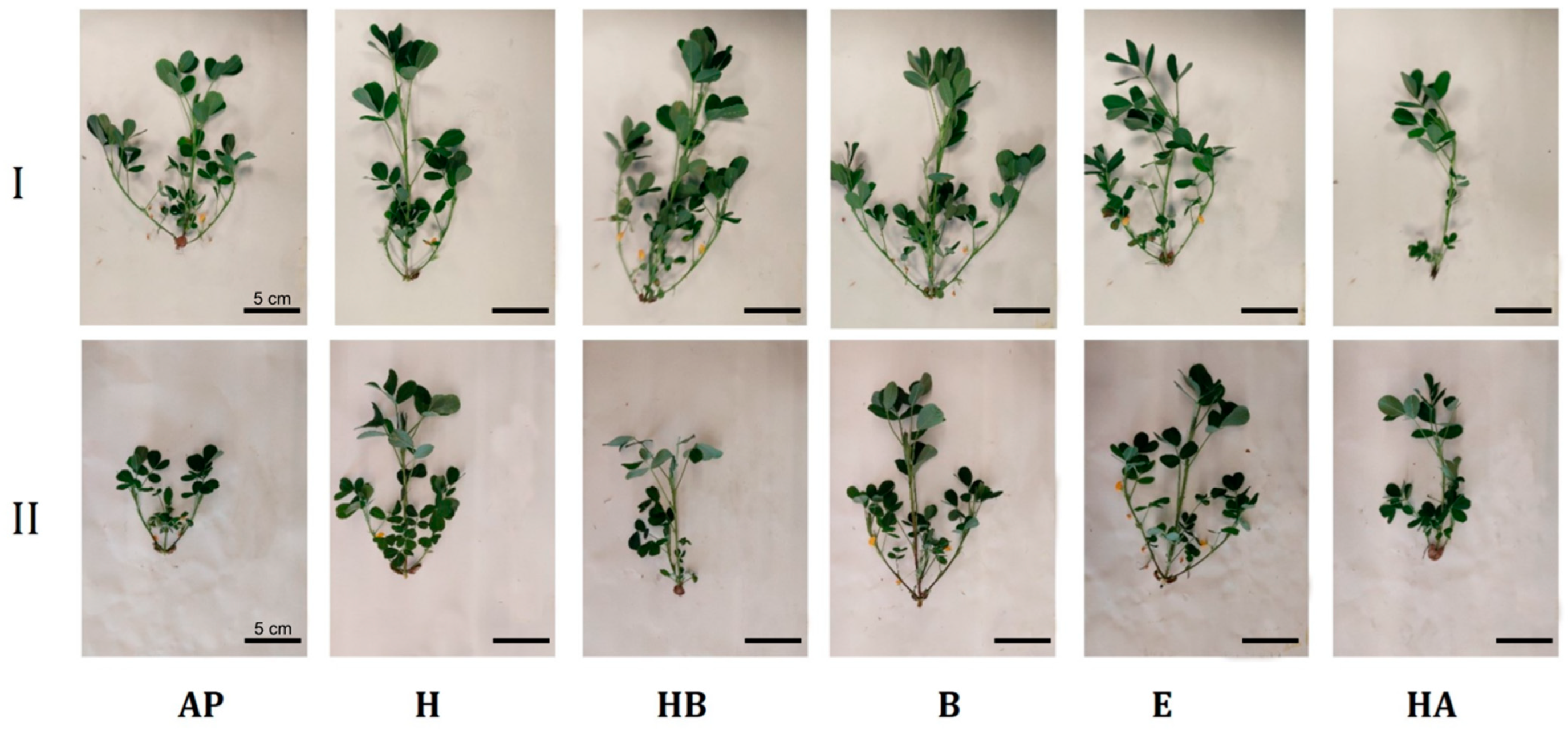 Agriculture 15 02300 g001 Agriculture 15 02300 g001