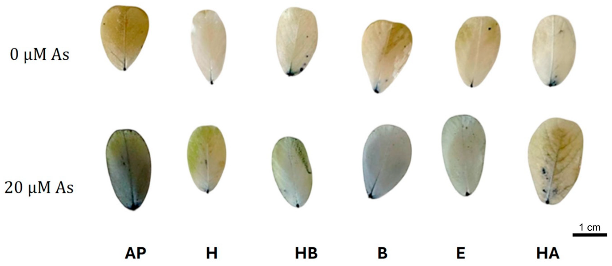 Agriculture 15 02300 g003 Agriculture 15 02300 g003