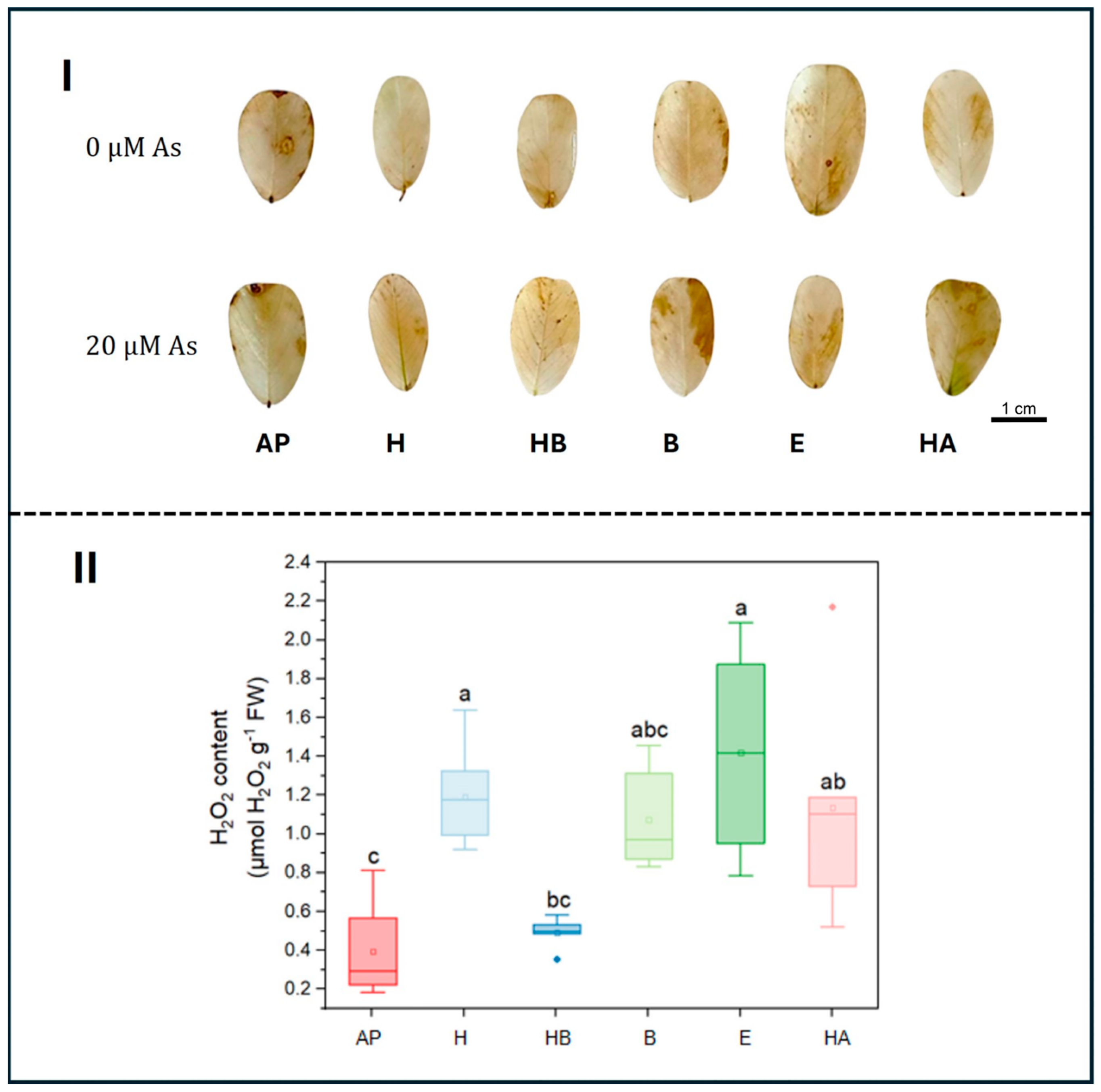 Agriculture 15 02300 g004 Agriculture 15 02300 g004