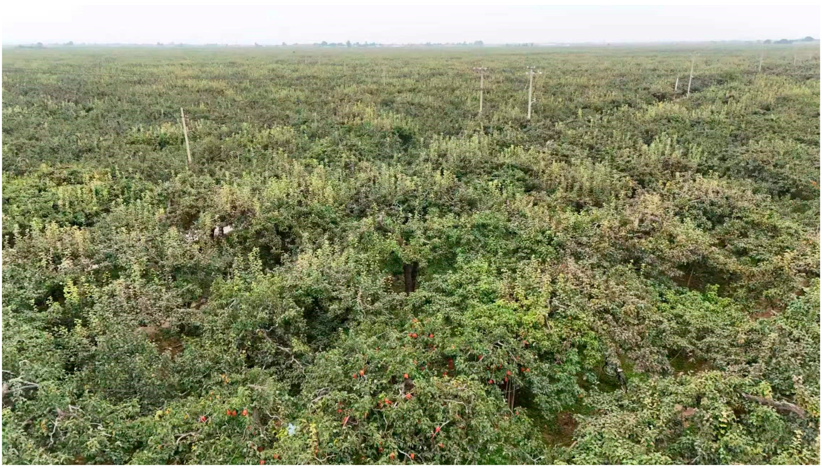 Agriculture 15 02302 g001 Agriculture 15 02302 g001