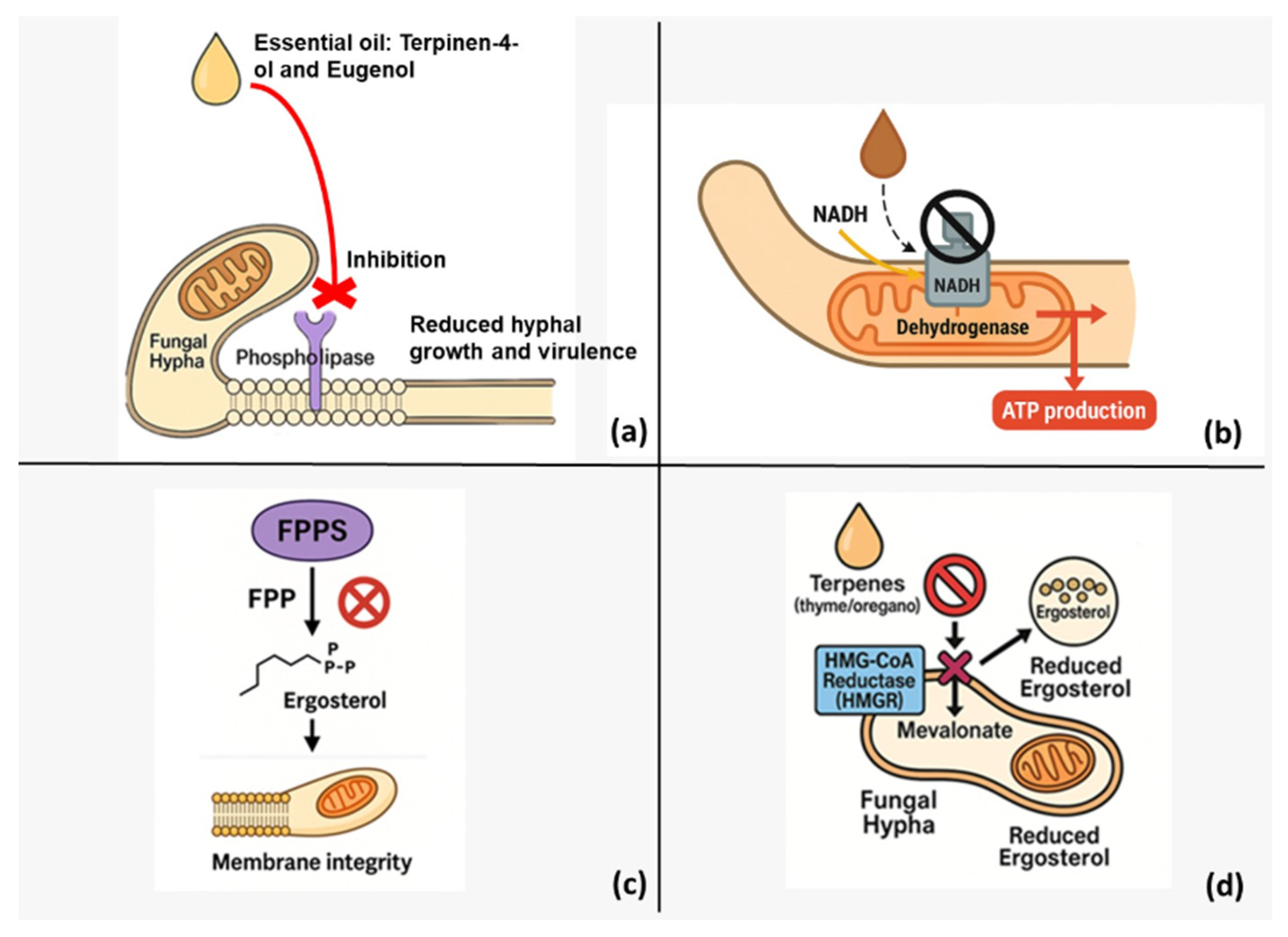 Agriculture 15 02303 g002 Agriculture 15 02303 g002