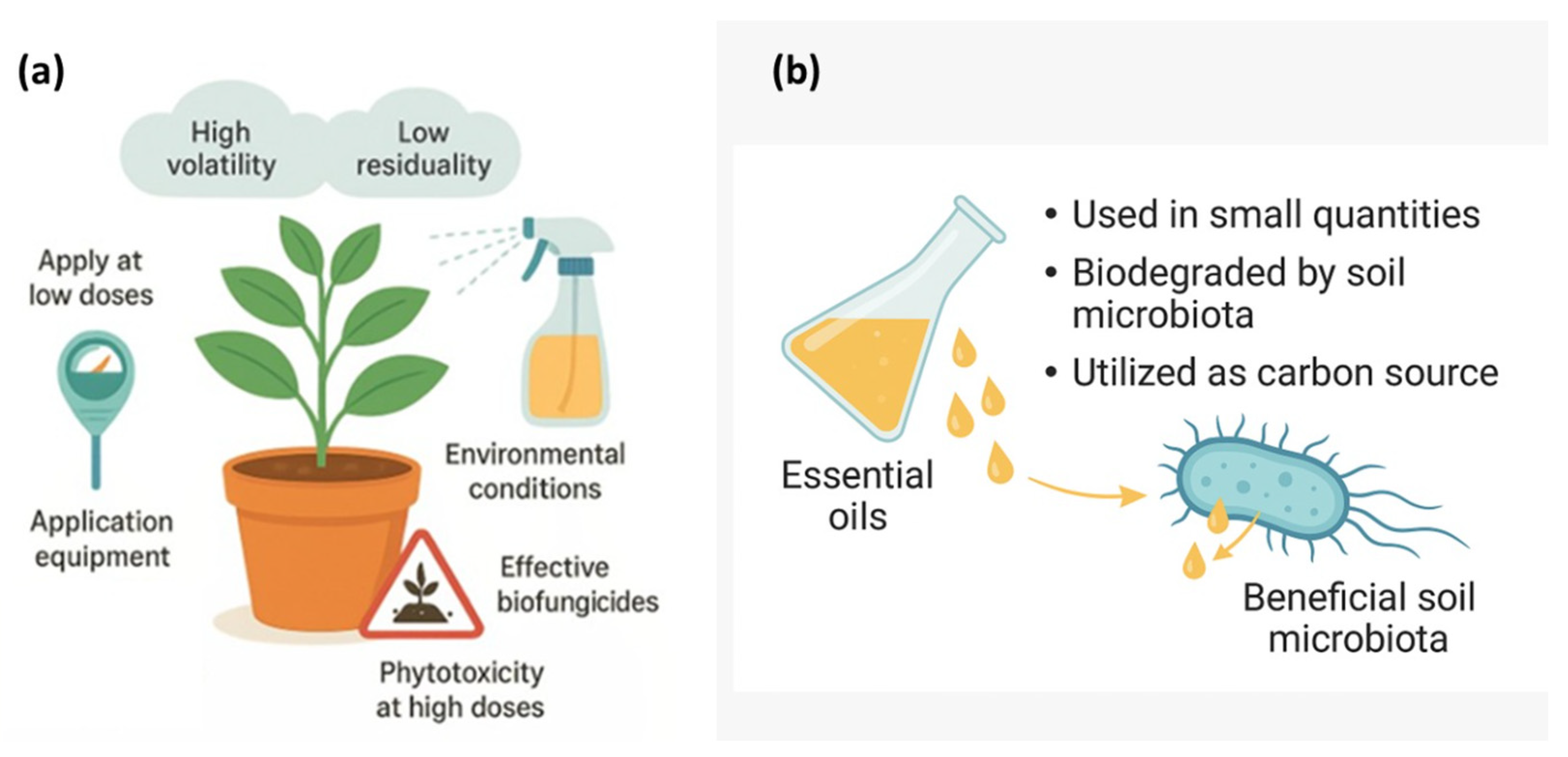 Agriculture 15 02303 g004 Agriculture 15 02303 g004