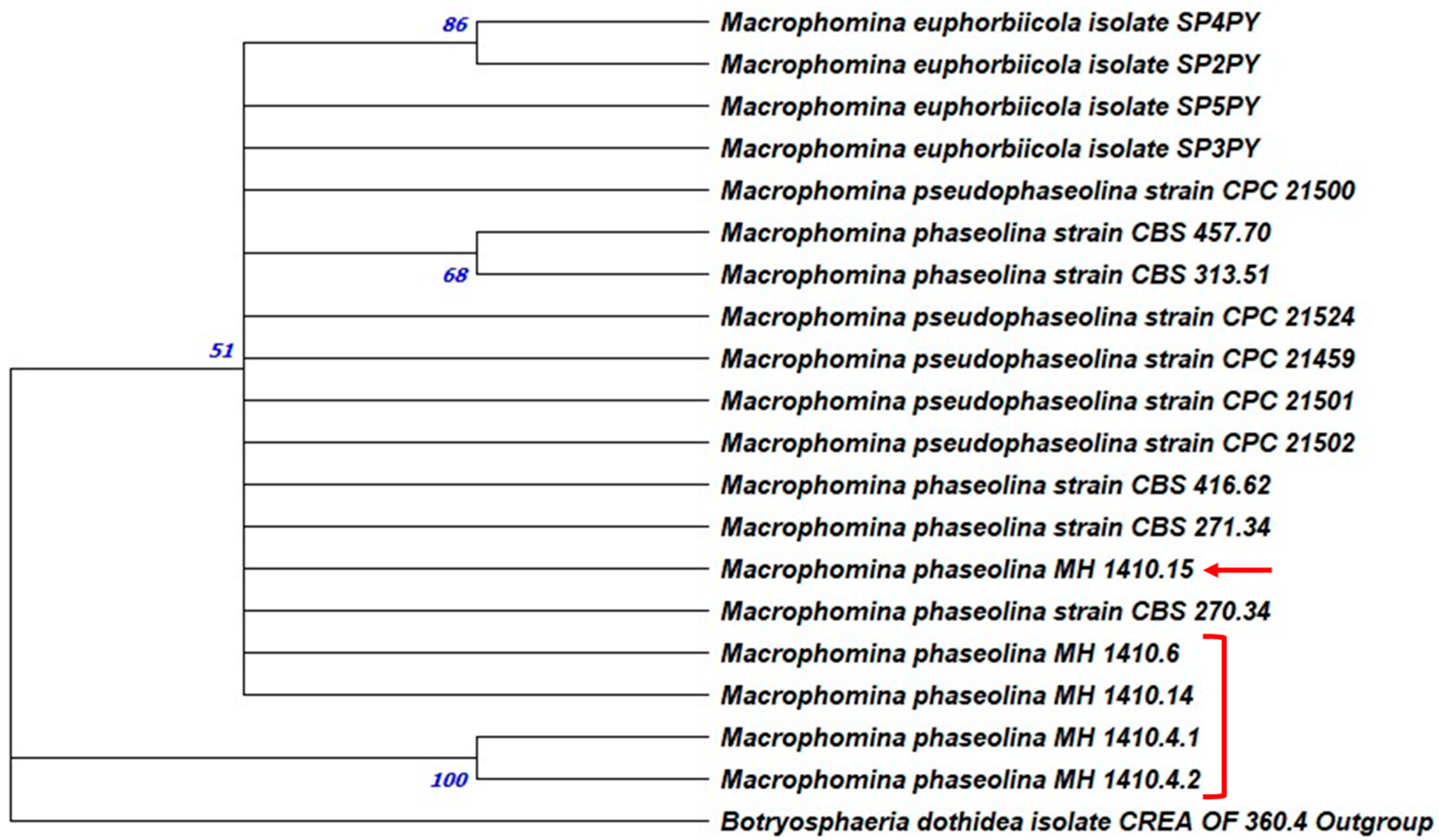 Agriculture 15 02309 g005 Agriculture 15 02309 g005