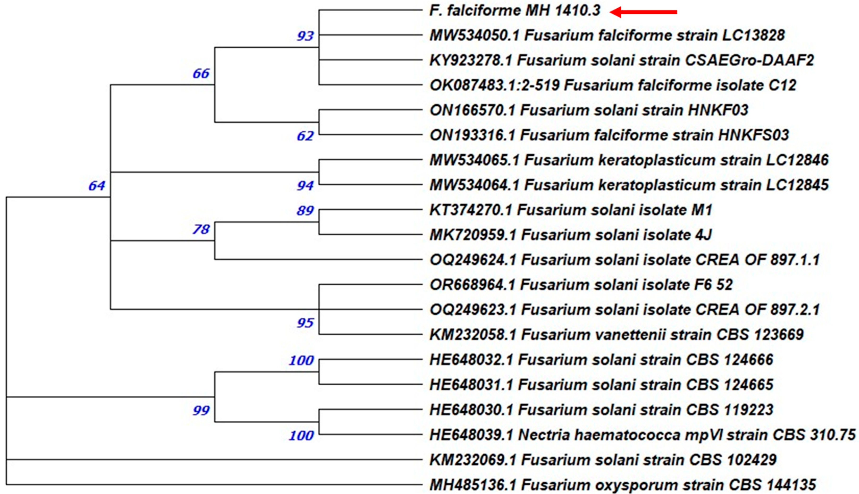 Agriculture 15 02309 g007 Agriculture 15 02309 g007