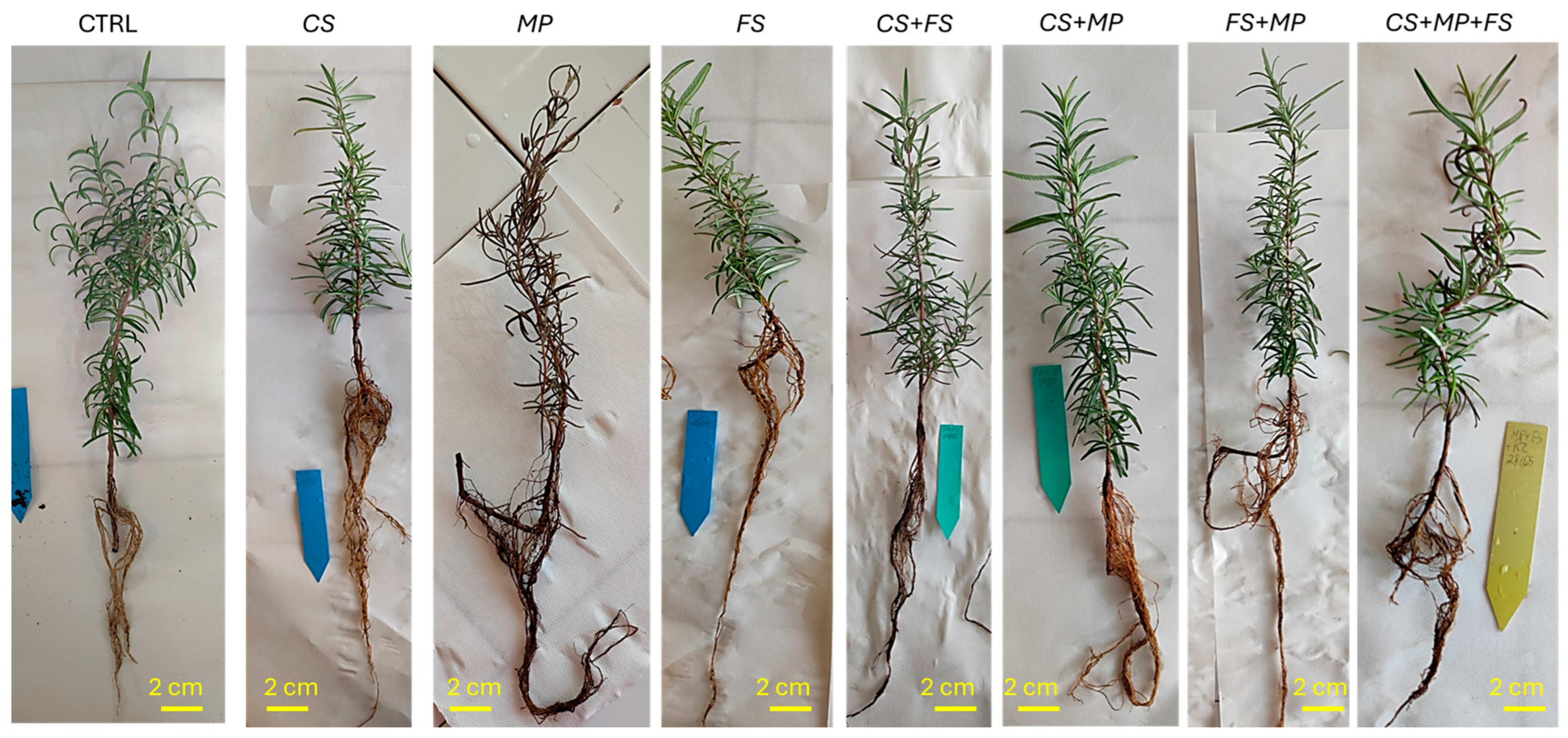 Agriculture 15 02309 g009 Agriculture 15 02309 g009