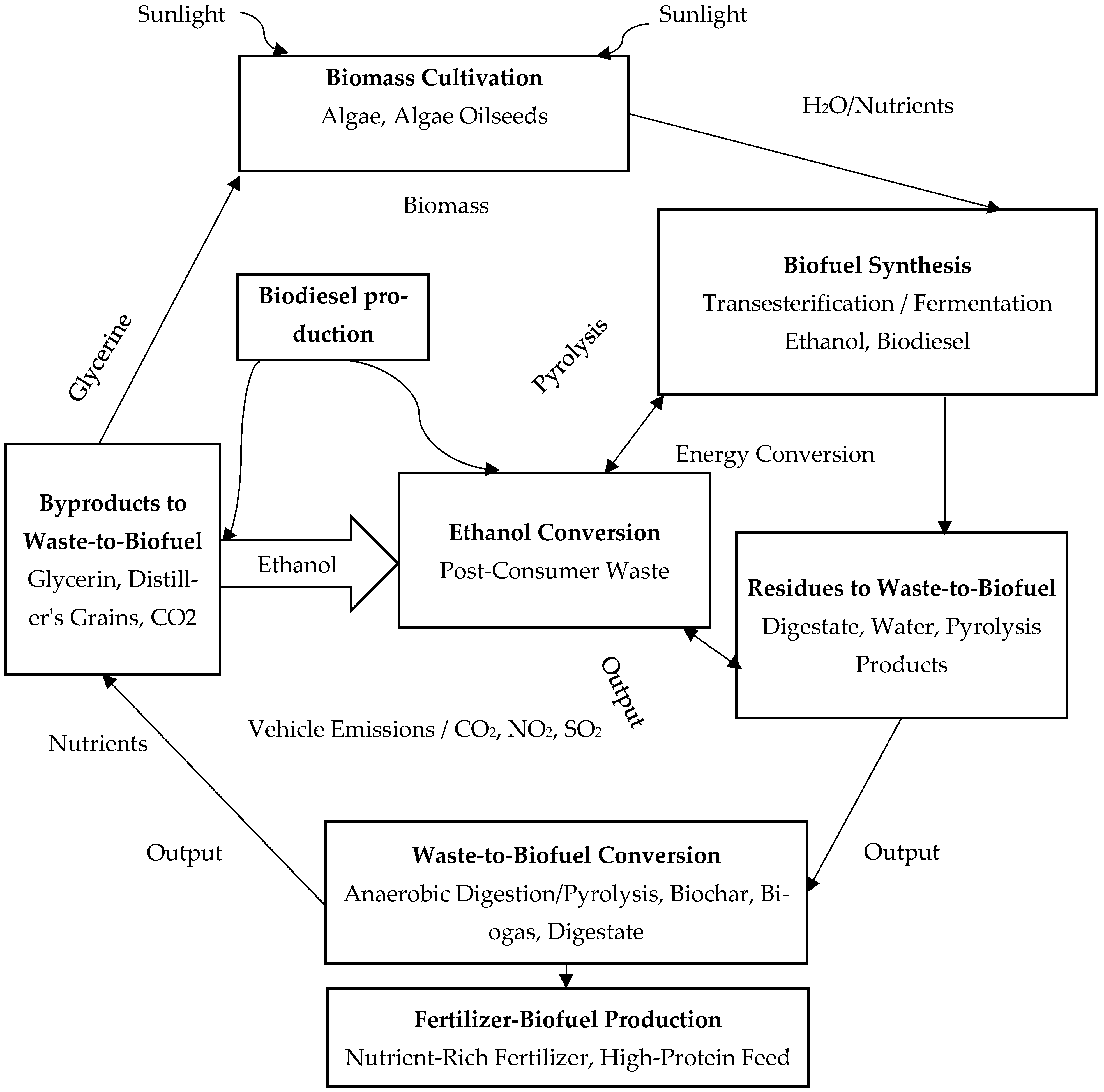 Agriculture 15 02316 g003