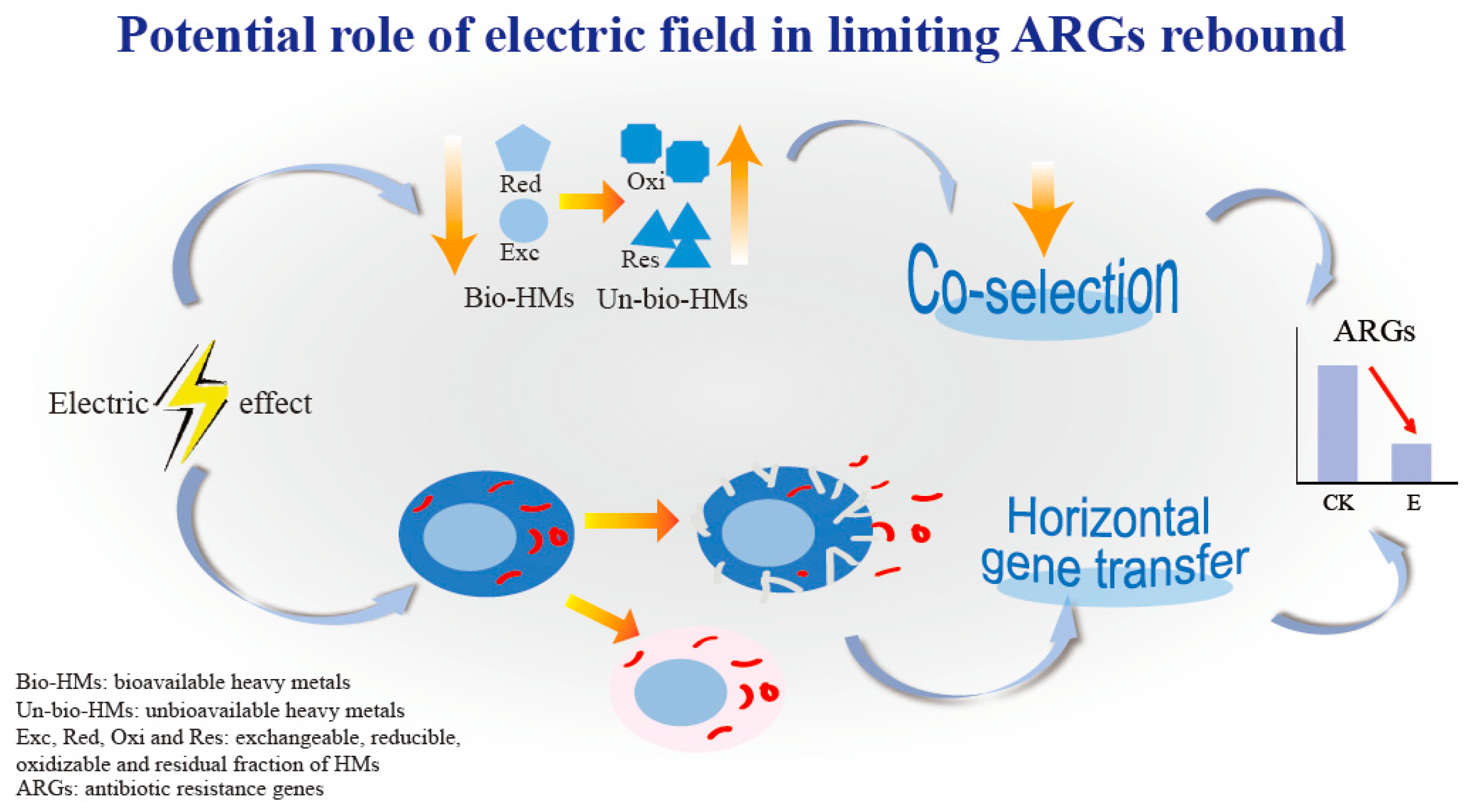 Agriculture 15 02317 g004 Agriculture 15 02317 g004