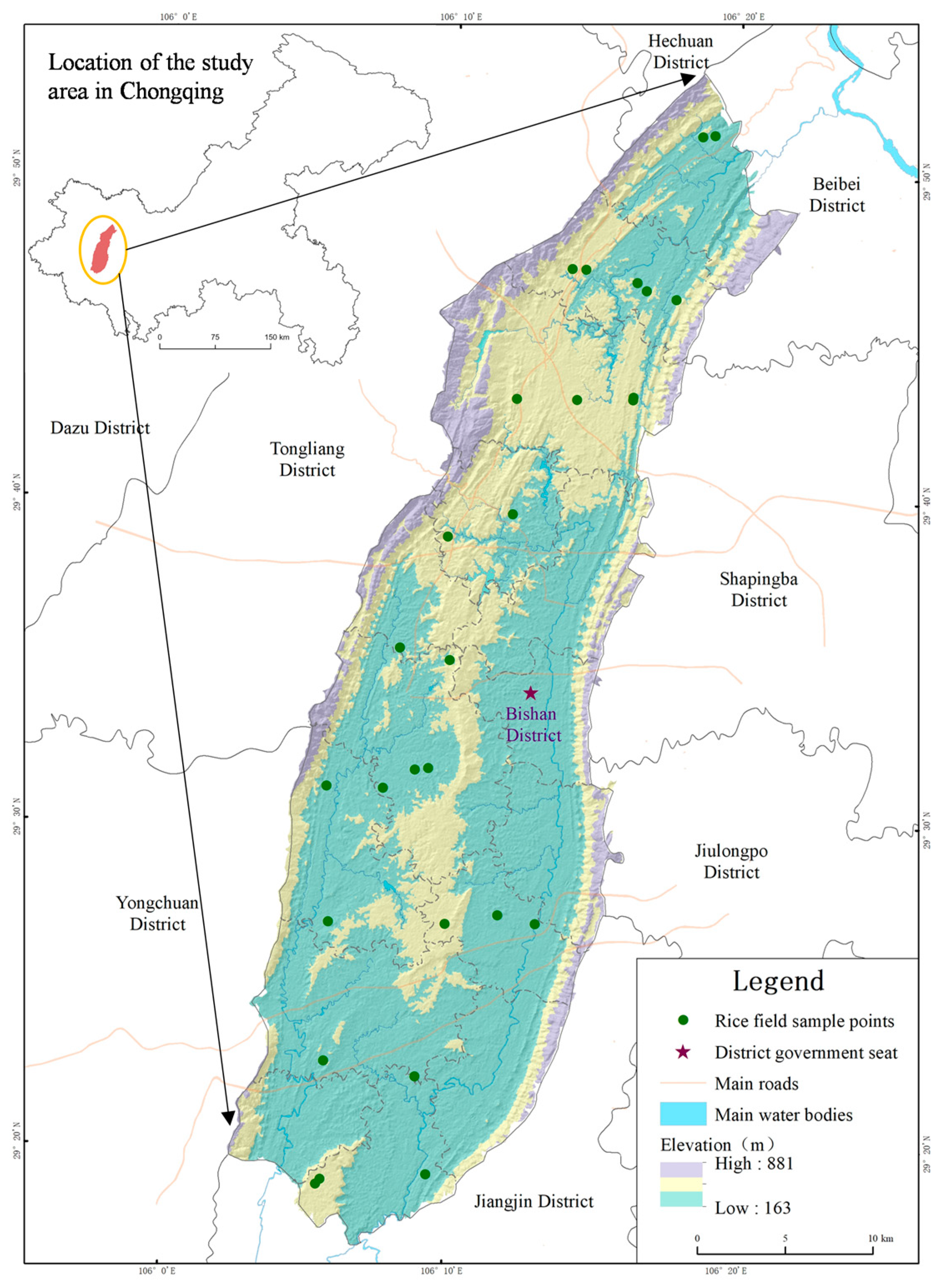 Agriculture 15 02321 g001