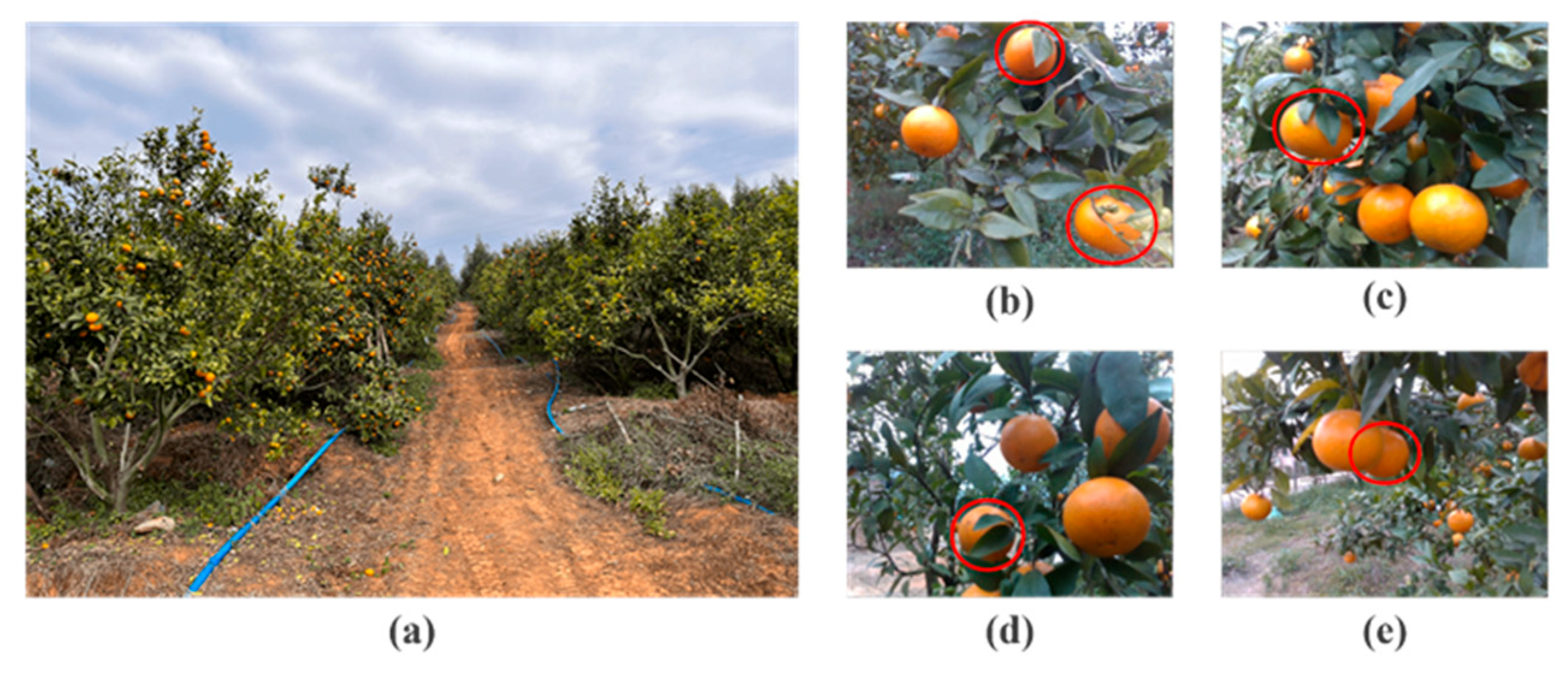 Agriculture 15 02330 g001