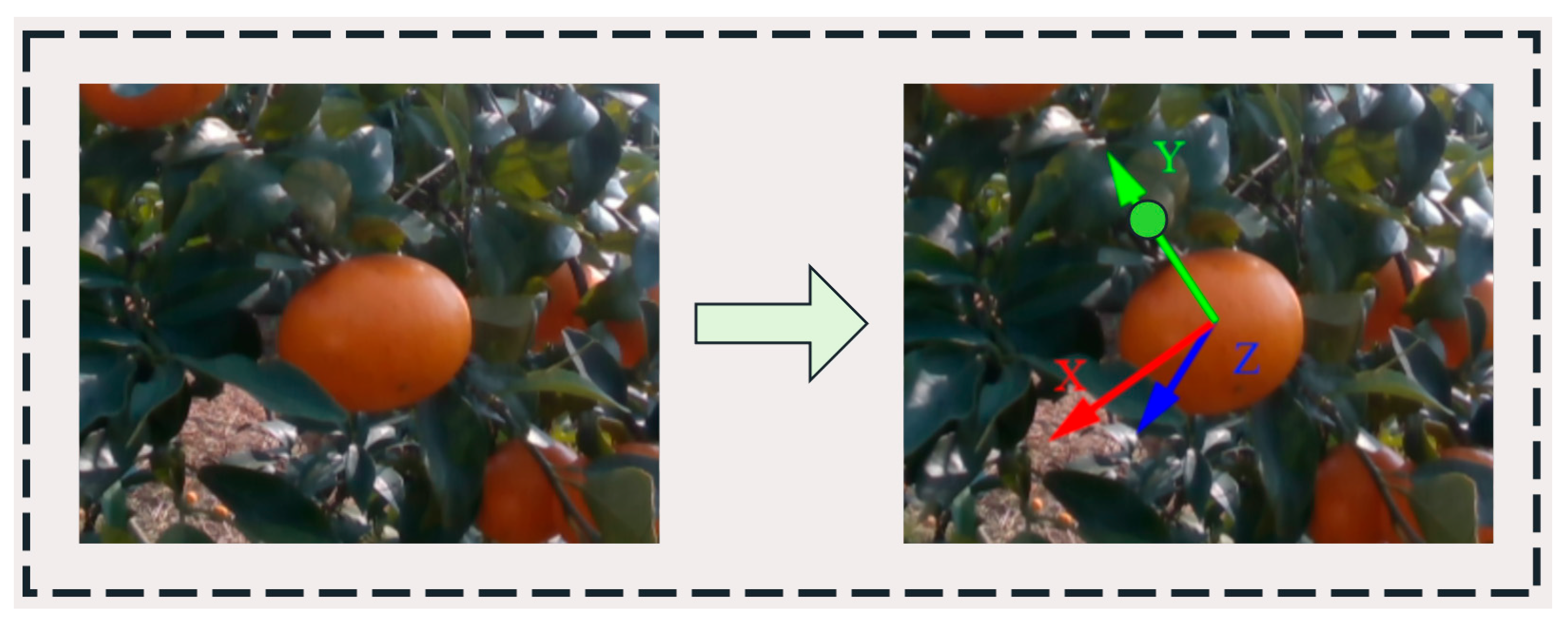 Agriculture 15 02330 g006