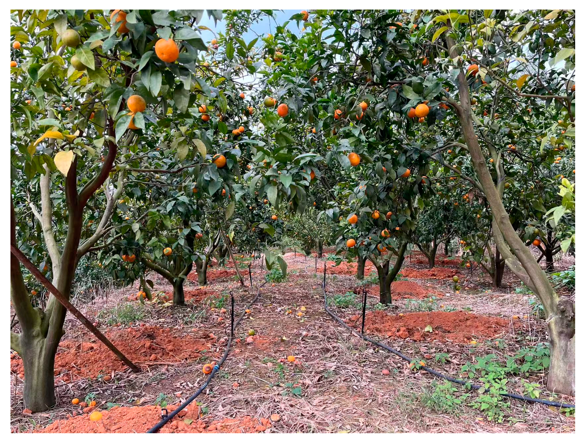 Agriculture 15 02330 g010