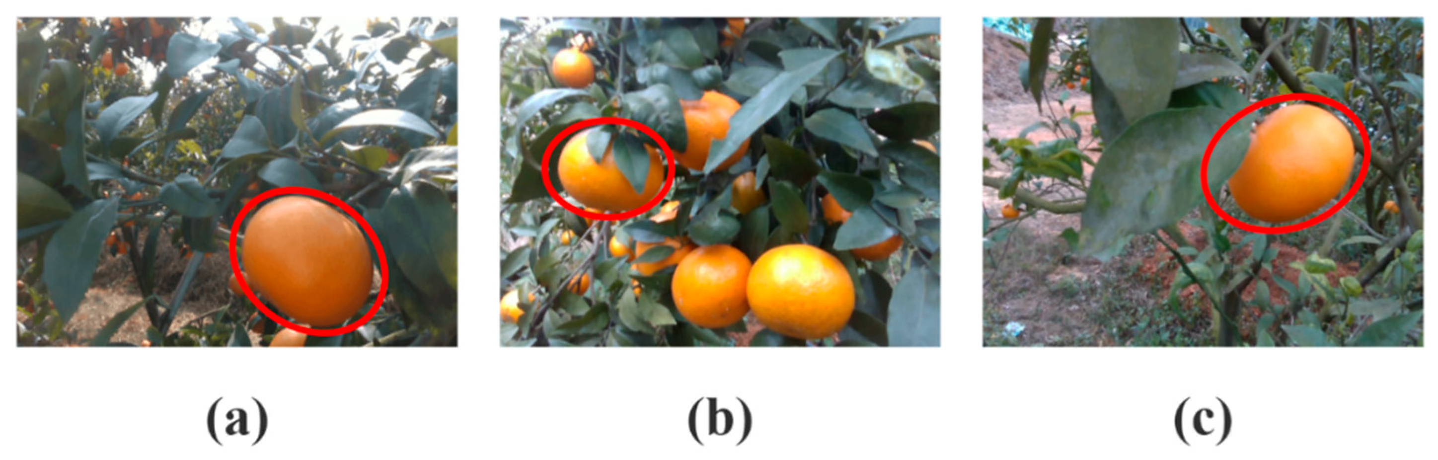 Agriculture 15 02330 g011