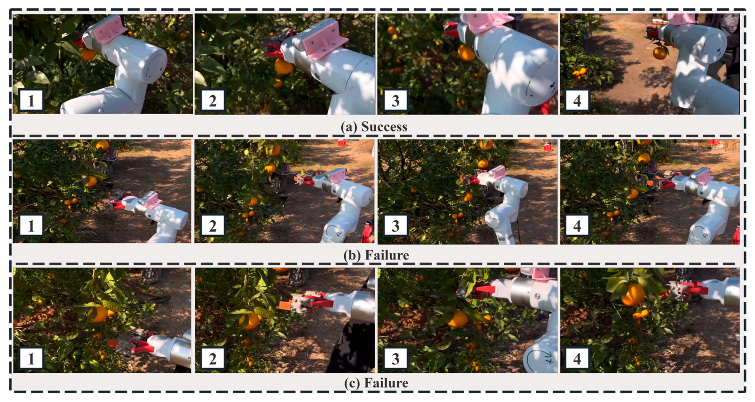 Agriculture 15 02330 g016