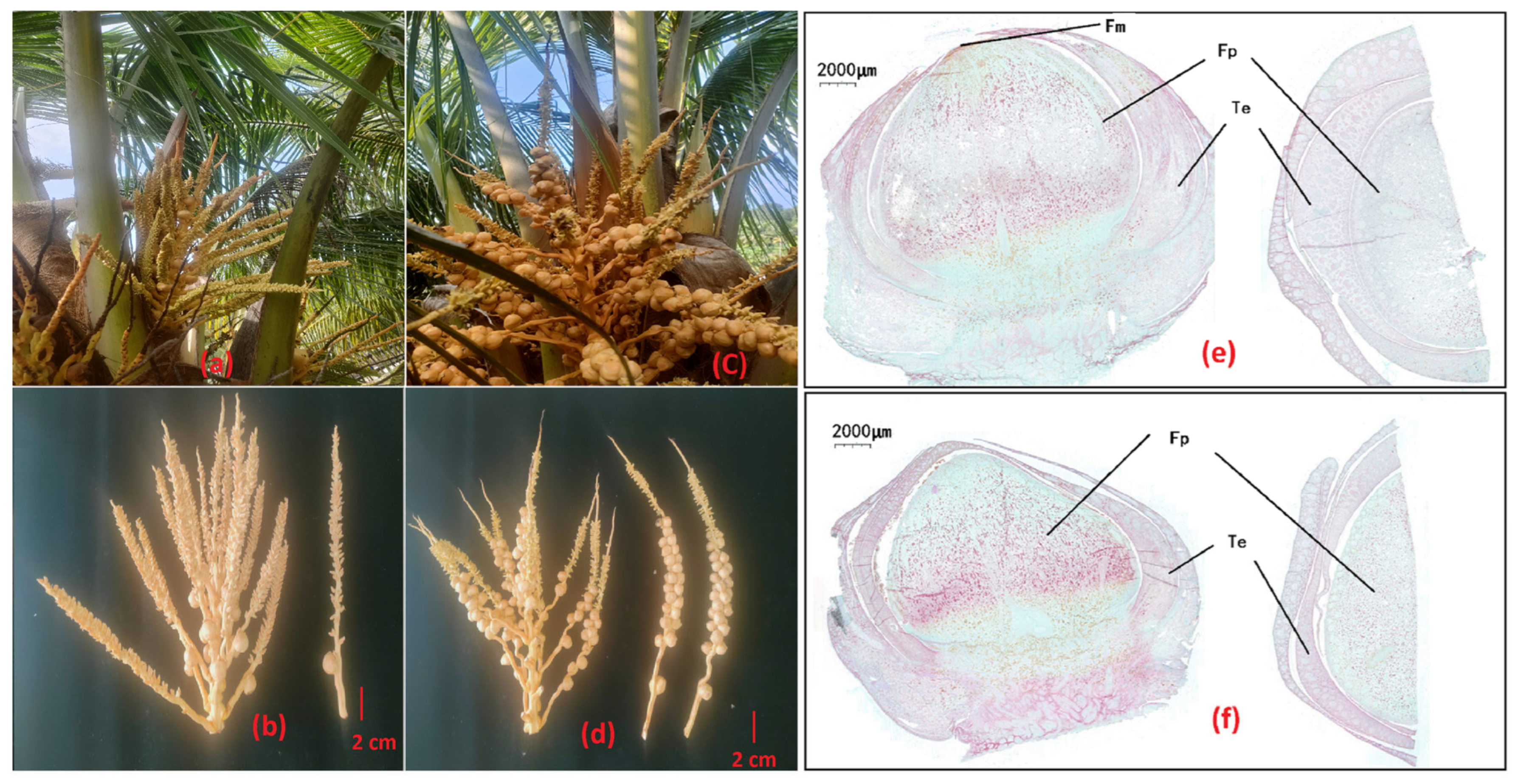 Agriculture 15 02336 g001