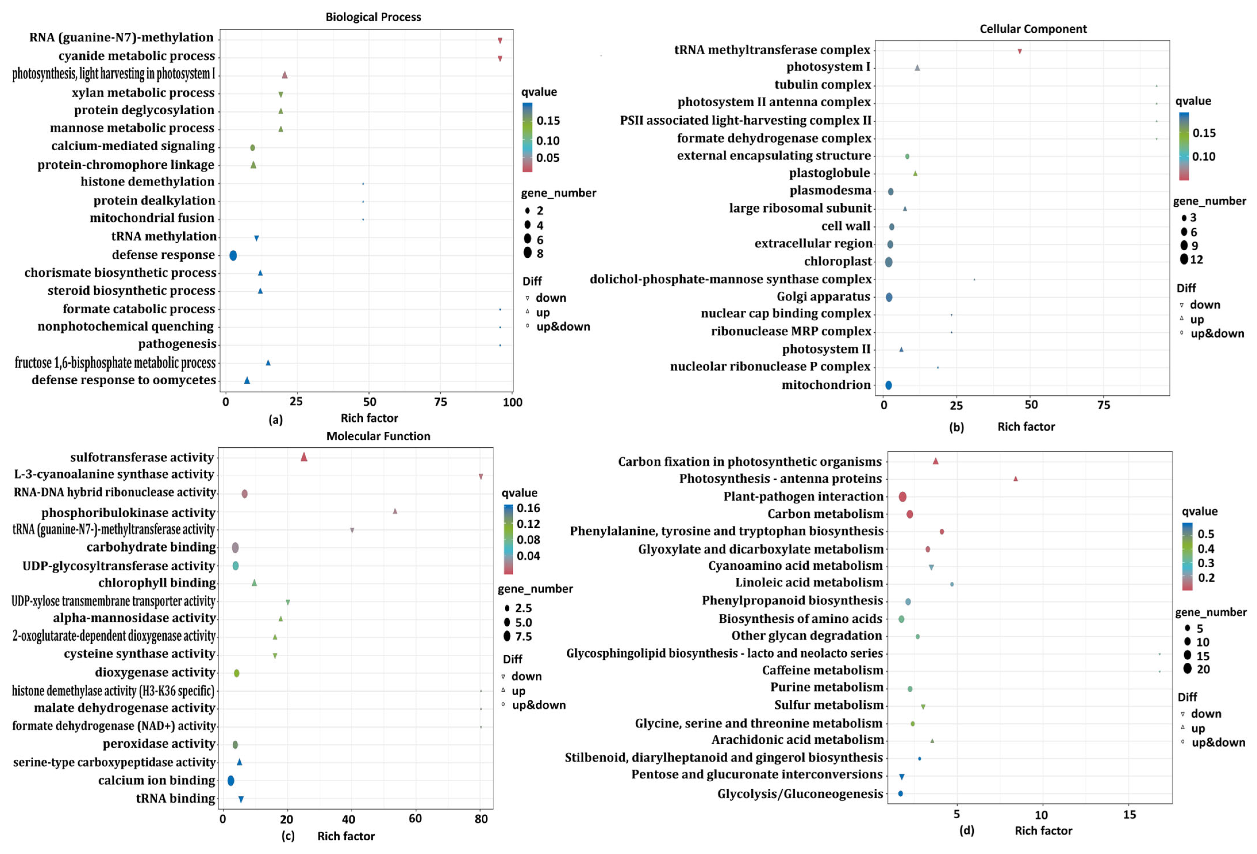 Agriculture 15 02336 g004