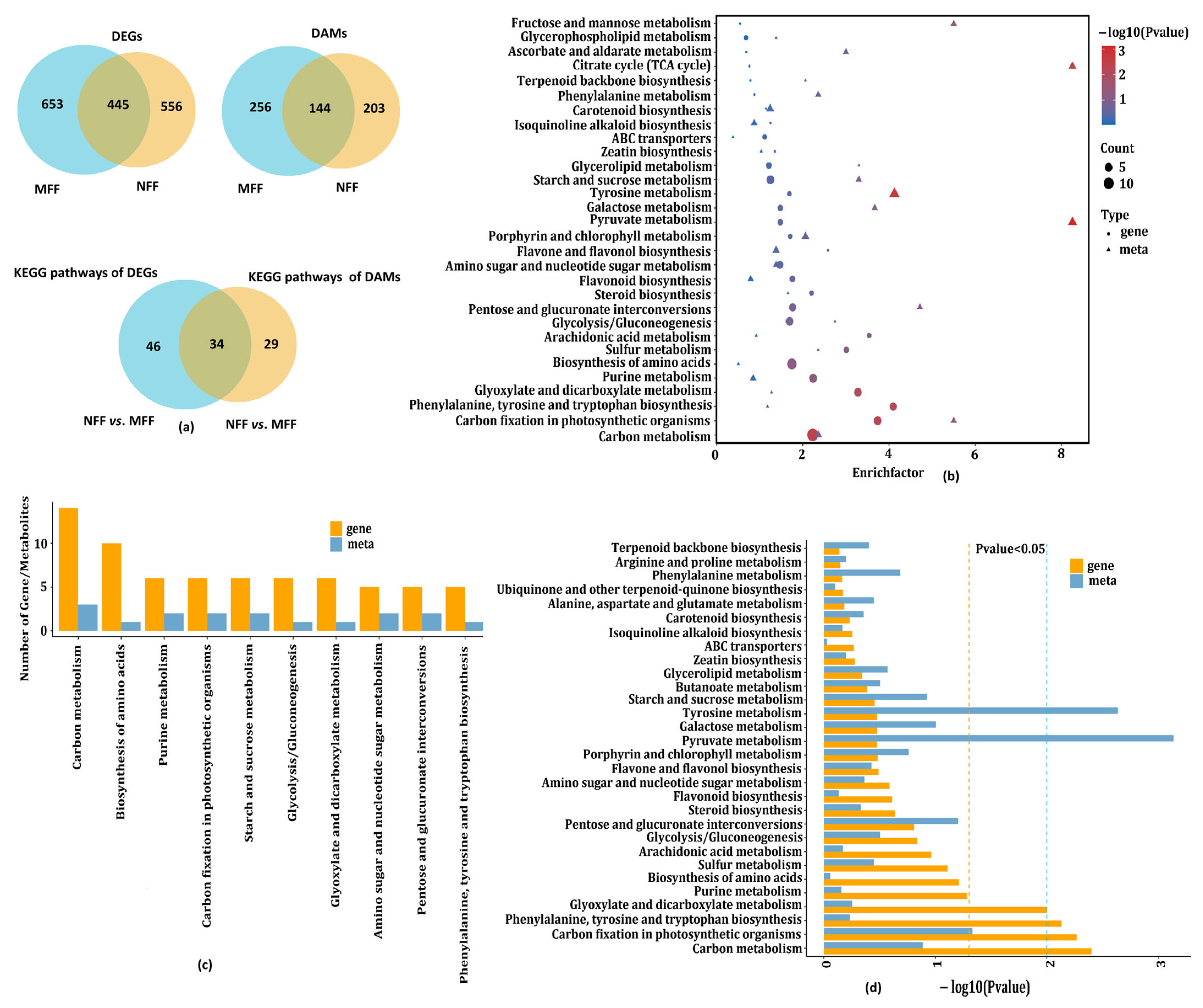 Agriculture 15 02336 g009
