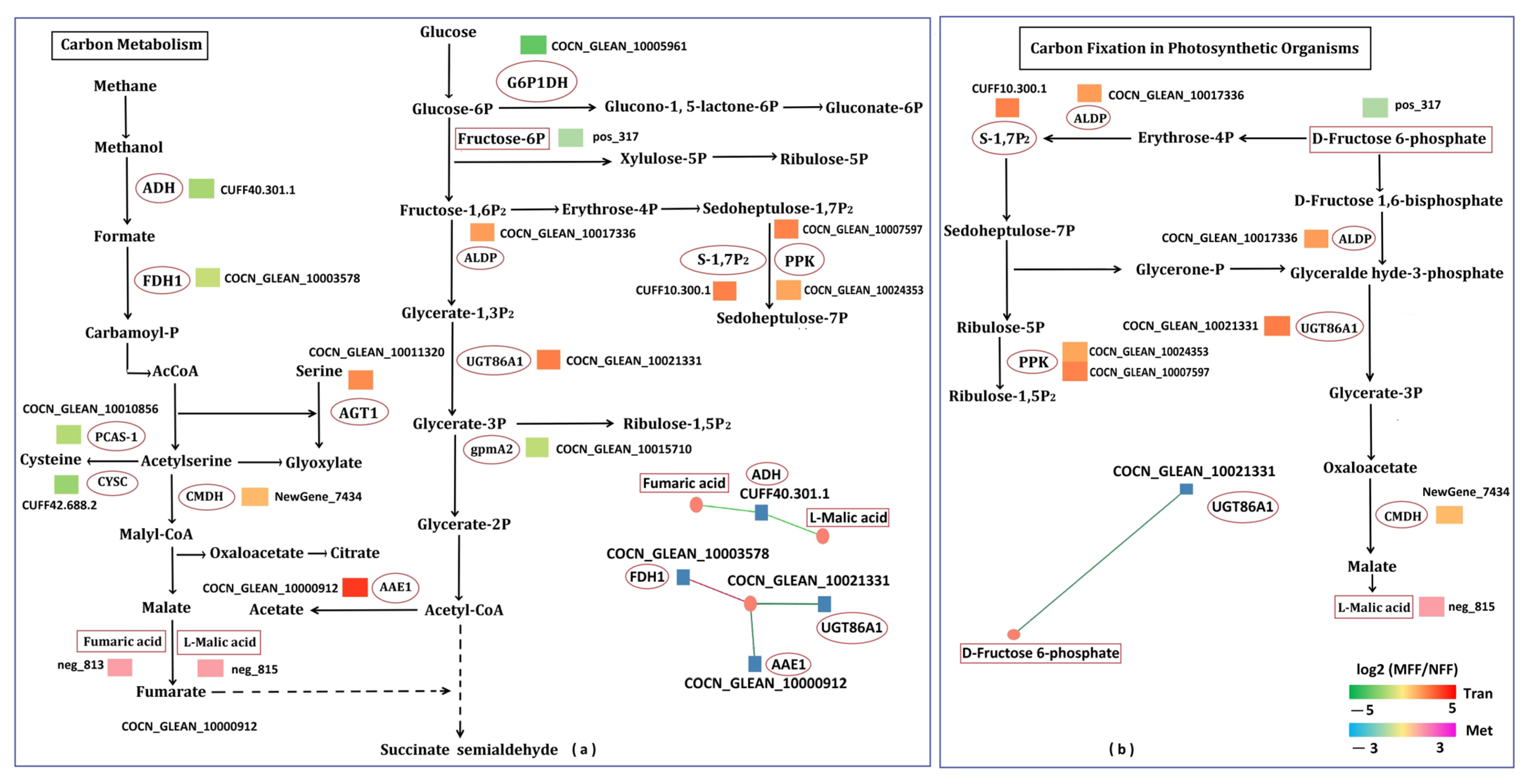 Agriculture 15 02336 g010