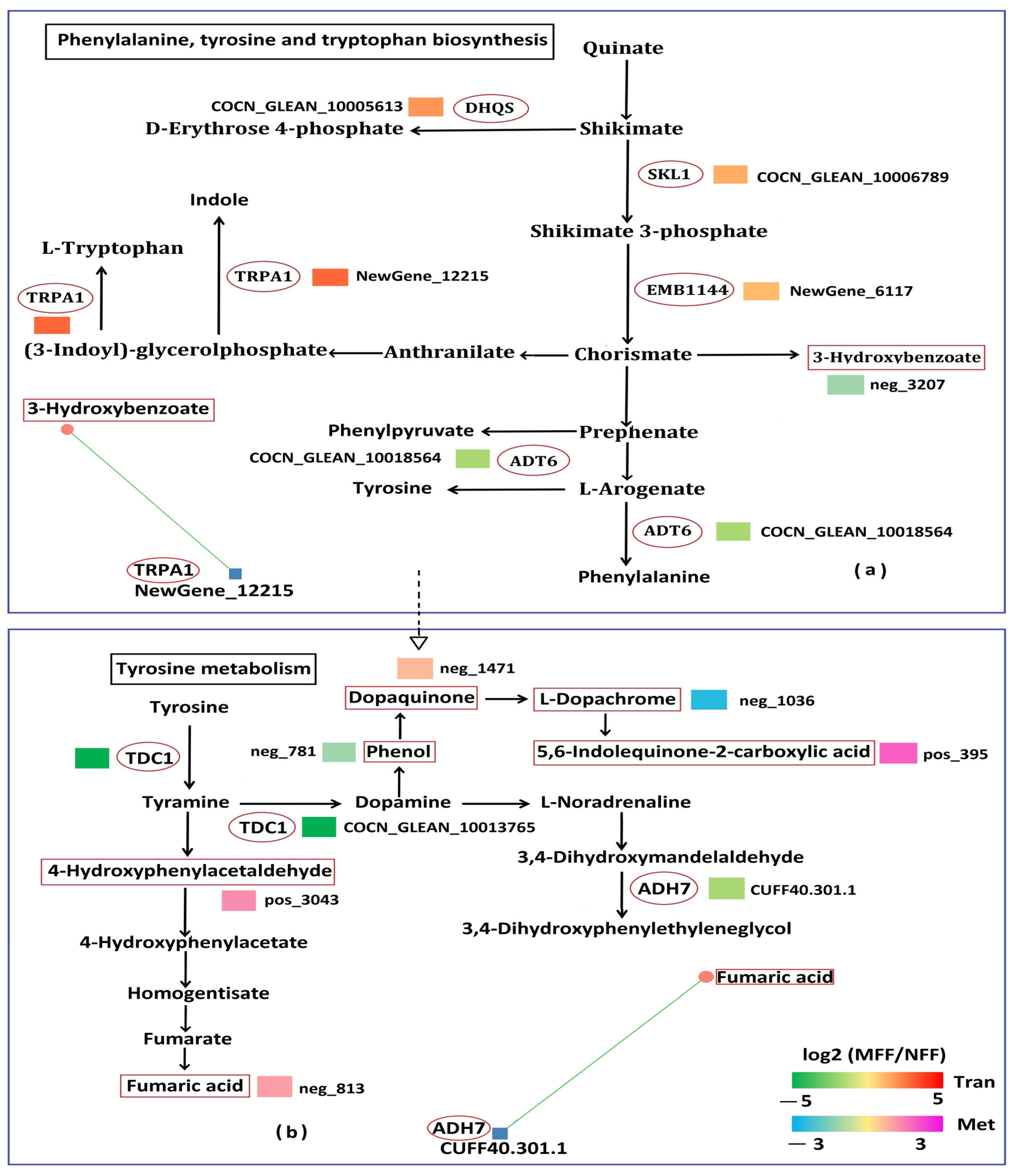 Agriculture 15 02336 g011