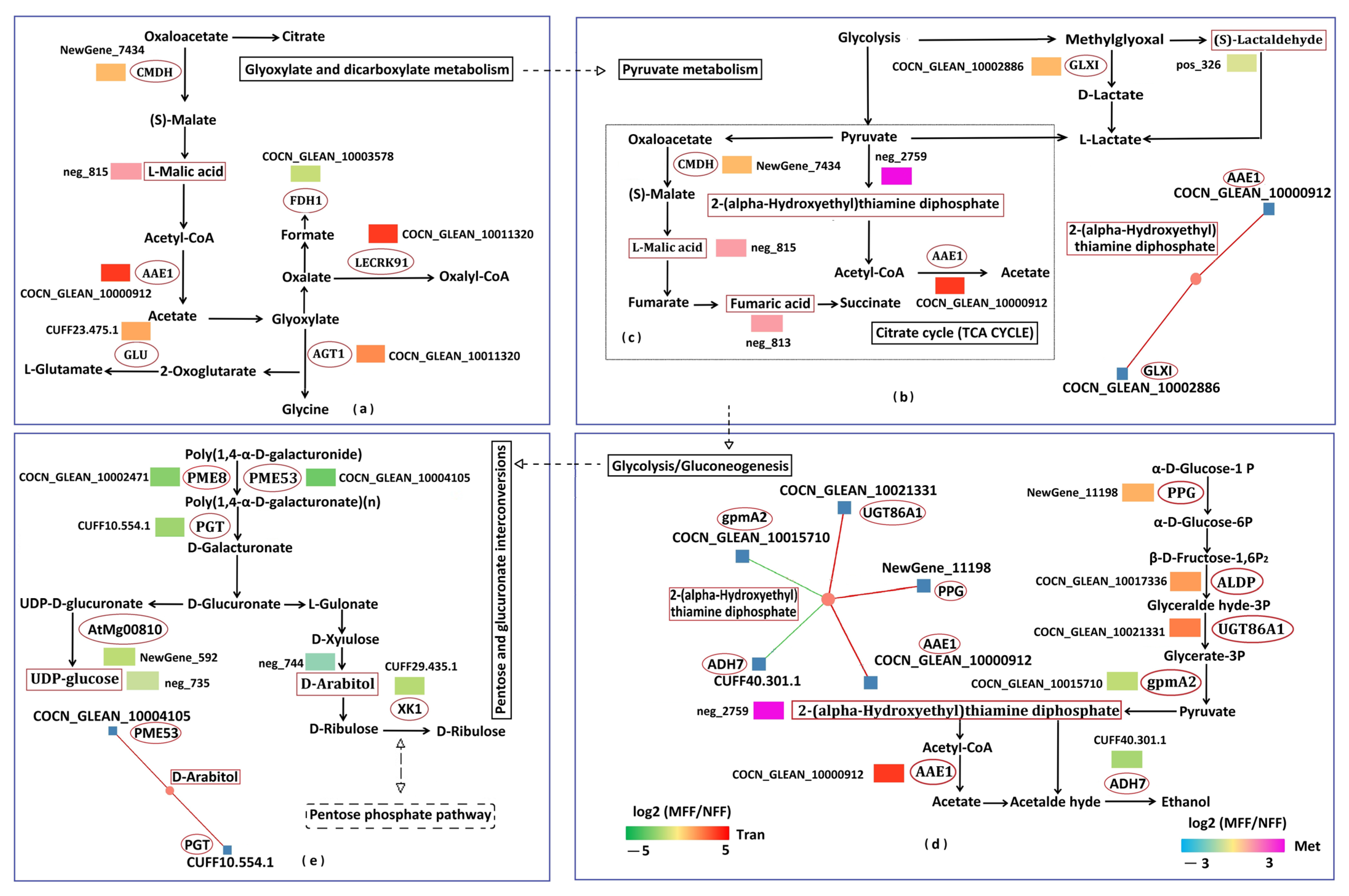 Agriculture 15 02336 g012